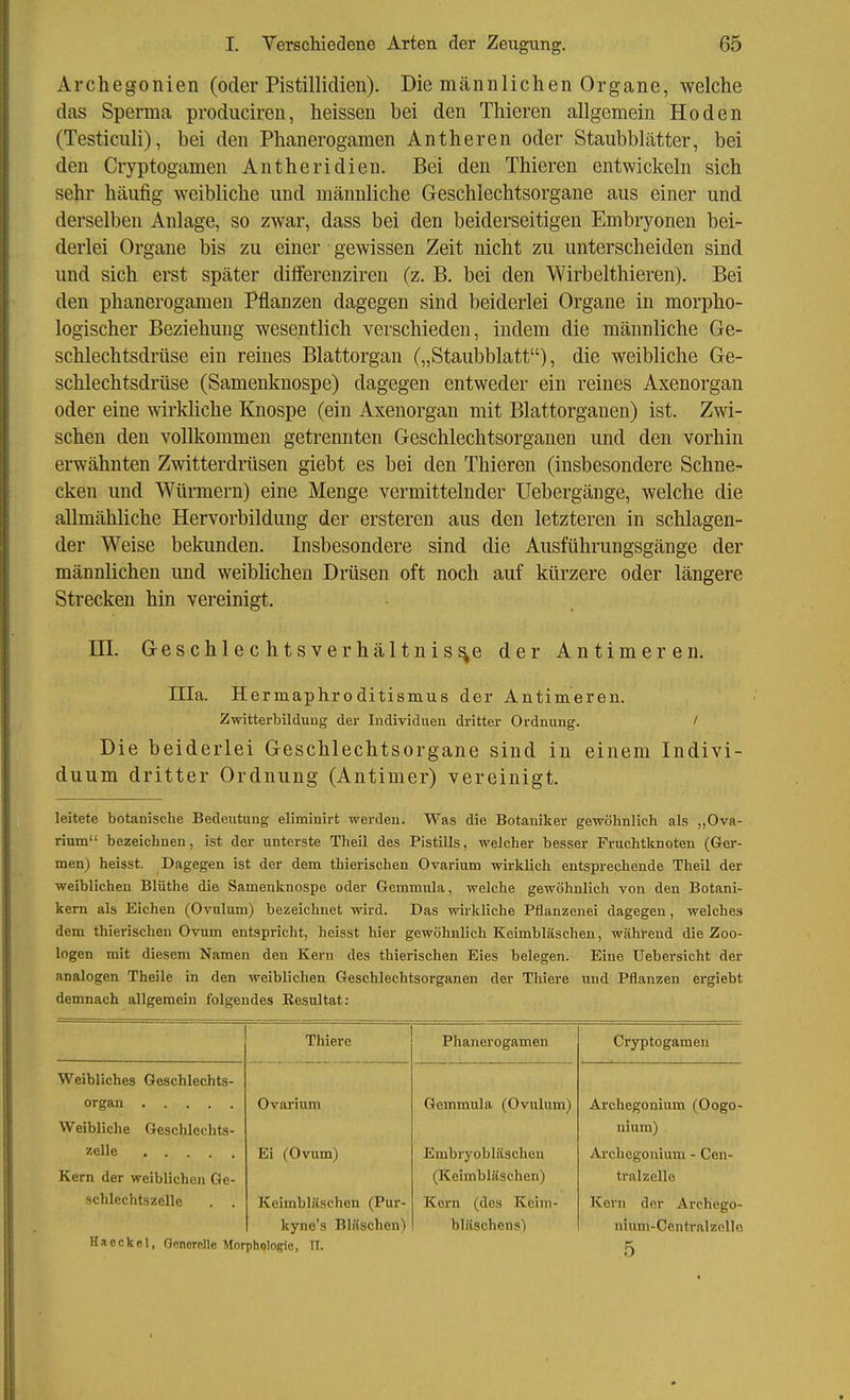 Archegonien (oder Pistillidieii). Die männlichen Organe, welche das Sperma produciren, heissen bei den Thieren allgemein Hoden (Testiculi), bei den Phanerogamen Antheren oder Staubblätter, bei den Cryptogamen Antheridien. Bei den Thieren entwickeln sich sehr häufig weibliche und männliche Geschlechtsorgane aus einer und derselben Anlage, so zwar, dass bei den beiderseitigen Embryonen bei- derlei Organe bis zu einer gewissen Zeit nicht zu unterscheiden sind und sich erst später dilferenziren (z. B. bei den Wirbelthieren). Bei den phanerogamen Pflanzen dagegen sind beiderlei Organe in morpho- logischer Beziehung wesentlich verschieden, indem die männliche Ge- schlechtsdrüse ein reines Blattorgan („Staubblatt), die weibliche Ge- schlechtsdrüse (Samenknospe) dagegen entweder ein reines Axenorgan oder eine wirkliche Knospe (ein Axenorgan mit Blattorganen) ist. Zwi- schen den vollkommen getrennten Geschlechtsorganen und den vorhin erwähnten Zwitterdrüsen giebt es bei den Thieren (insbesondere Schne- cken und Würmern) eine Menge vermittelnder Uebergänge, welche die allmähliche Hervorbildung der ersteren aus den letzteren in schlagen- der Weise bekunden. Insbesondere sind die Ausführungsgänge der männlichen und weiblichen Drüsen oft noch auf kürzere oder längere Strecken hin vereinigt. ni. Geschlechtsverhältnis^e der Antimeren. Die beiderlei Geschlechtsorgane sind in einem Indivi- duum dritter Ordnung (Antimer) vereinigt. leitete botanische Bedeutung eliminirt werden. Was die Botaniker gewölinlich als „Ova- rium bezeichnen, ist der unterste Theil des PistiHs, welcher besser Fruchtknoten (Ger- man) heisst. Dagegen ist der dem thierischen Ovarium wirklich entsprechende Theil der weiblichen Blüthe die Samenknospe oder Gemmula, welche gewöhnlich von den Botani- kern als Eichen (Ovulum) bezeichnet wird. Das wirkliche Pflanzenei dagegen, welches dem thierischen Ovum entspricht, heisst hier gewöhnlich Keimbläschen, während die Zoo- logen mit diesem Namen den Kern des thierischen Eies belegen. Eine Uebersicht der analogen Theile in den weiblichen Geschlechtsorganen der Tliiere und Pflanzen ergiebt demnach allgemein folgendes Kesultat: nia. Hermaphr0ditismus der Antimeren. Zwitterbildung der Individuen dritter Ordnung. Thiere Phanerogamen Cryptogamen Weibliches Geschlechts- organ Ovarium Gemmula (Ovulum) Archegonium (Oogo- uium) Weibliche Geschlechts- zelle Ei (Ovum) Embryobläscheu (Keimbläschen) Kern (des Keim- ArchcgoniuHi - Cen- tralzelle Kern der weiblichen Ge- schlechtszelle . . Keimbläschen (Pur- kyne's Bläschen) Korn der Archego- nium-Centr ftlzell 0 bläsohens) 5