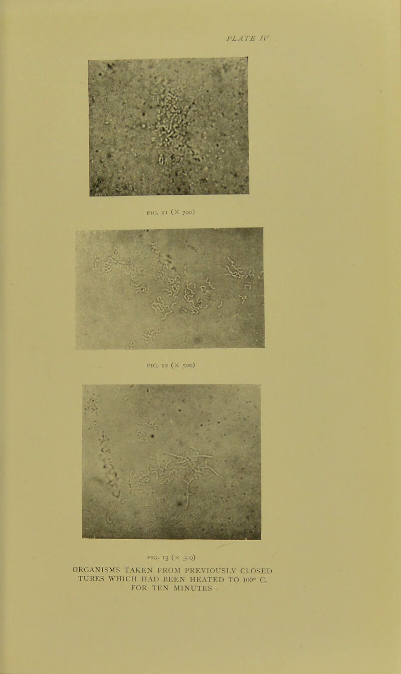 FIG. H (X 700) I'lG. 12 (X 500) FIG. 13 (X 5C0) ORGANISMS TAKEN FROM PREVIOUSLY CLOSED TUiiES WHICH HAD BEEN HEATED TO 100° C. FOR TEN MINUTES