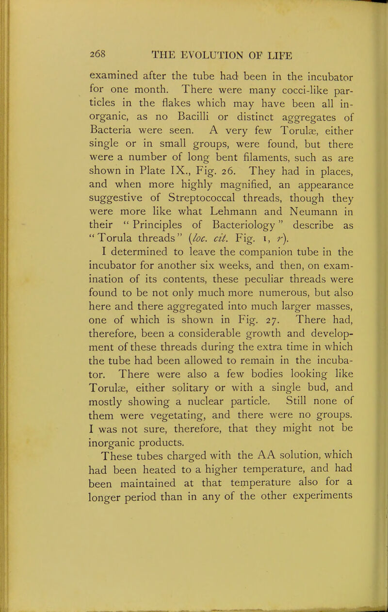 examined after the tube had been in the incubator for one month. There were many cocci-Hke par- ticles in the flakes which may have been all in- organic, as no Bacilli or distinct aggregates of Bacteria were seen. A very few Torulse, either single or in small groups, were found, but there were a number of long bent filaments, such as are shown in Plate IX., Fig. 26. They had in places, and when more highly magnified, an appearance suggestive of Streptococcal threads, though they were more like what Lehmann and Neumann in their  Principles of Bacteriology describe as Torula threads {loc. cit. Fig. i, r\ I determined to leave the companion tube in the incubator for another six weeks, and then, on exam- ination of its contents, these peculiar threads were found to be not only much more numerous, but also here and there aggregated into much larger masses, one of which is shown in Fig. 27. There had, therefore, been a considerable growth and develop- ment of these threads during the extra time in which the tube had been allowed to remain in the incuba- tor. There were also a few bodies looking like Torul^, either solitary or with a single bud, and mostly showing a nuclear particle. Still none of them were vegetating, and there were no groups. I was not sure, therefore, that they might not be inorganic products. These tubes charged with the AA solution, which had been heated to a higher temperature, and had been maintained at that temperature also for a longer period than in any of the other experiments