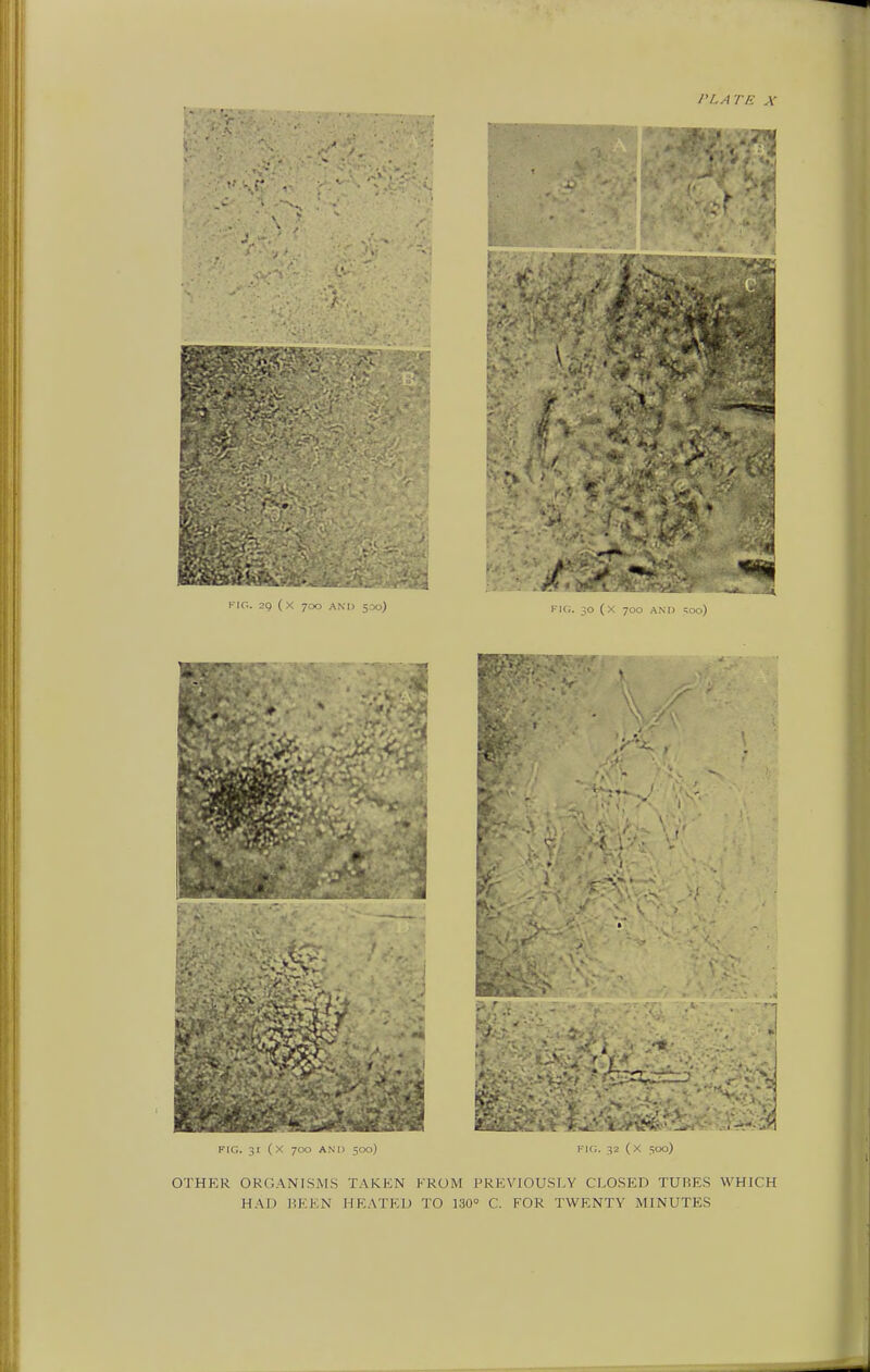 OTHER ORGANISMS TAKEN FROM PREVIOUSLY CLOSED TURKS WHICH