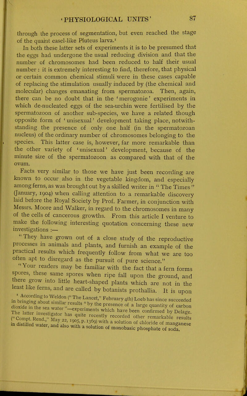 through the process of segmentation, but even reached the stage of the quaint easel-Uke Pluteus larva.' In both these latter sets of experiments it is to be presumed that the eggs had undergone the usual reducing division and that the number of chromosomes had been reduced to half their usual number : it is extremely interesting to find, therefore, that physical or certain common chemical stimuli were in these cases capable of replacing the stimulation usually induced by (the chemical and molecular) changes emanating from spermatozoa. Then, again, there can be no doubt that in the ' merogonie' experiments in which de-nucleated eggs of the sea-urchin were fertilised by the spermatozoon of another sub-species, we have a related though opposite form of ' unisexual' development taking place, notwith- standing the presence of only one half (in the spermatozoan nucleus) of the ordinary number of chromosomes belonging to the species. This latter case is, however, far more remarkable than the other variety of 'unisexual' development, because of the minute size of the spermatozoon as compared with that of the ovum. Facts very similar to those we have just been recording are known to occur also in the vegetable kingdom, and especially among ferns, as was brought out by a skilled writer in  The Times  (January, 1904) when calling attention to a remarkable discovery laid before the Royal Society by Prof. Farmer, in conjunction with Messrs. Moore and Walker, in regard to the chromosomes in many of the cells of cancerous growths. From this article I venture to make the following interesting quotation concerning these new investigations :— They have grown out of a close study of the reproductive processes in animals and plants, and furnish an example of the practical results which frequently follow from what we are too often apt to disregard as the pursuit of pure science. Your readers may be familiar with the fact that a fern forms spores, these same spores when ripe fall upon the ground, and there grow into little heart-shaped plants which are not in the least hke ferns, and are called by botanists prothallia. It is upon in bdnSfJabontT^ ^^'^^^^^^th) Loeb has since succeeded The ht er invitok ^^^ ^^^^ have been confirmed by Delage r Com!^Rend . S °' '■'^'^ ^^'^^^^^^ remarkable results , aim aiso wun a solution of monobasic phosphate of soda.