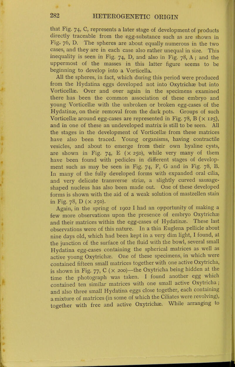 that Fig. 74, C, represents a later stage of development of products directly traceable from the egg-substance such as are shown in Fig. 76, D. The spheres are about equally numerous in the two cases, and they are in each case also rather unequal in size. This inequality is seen in Fig. 74, D, and also in Fig. 78, A ; and the uppermost of the masses in this latter figure seems to be beginning to develop into a Vorticella. All the spheres, in fact, which during this period were produced from the Hydatina eggs developed not into Oxytrichae but into Vorticellae. Over and over again in the specimens examined there has been the common association of these embryo and young Vorticellae with the unbroken or broken egg-cases of the Hydatinae, on their removal from the dark pots. Groups of such Vorticellae around egg-cases are represented in Fig. 78, B (x 125), and in one of these an undeveloped matrix is still to be seen. All the stages in the development of Vorticellae from these matrices have also been traced. Young organisms, having contractile vesicles, and about to emerge from their own hyaline cysts, are shown in Fig. 74, E (x 250), while very many of them have been found with pedicles in different stages of develop- ment such as may be seen in Fig. 74, F, G and in Fig. 78, B. In many of the fully developed forms with expanded oral cilia, and very delicate transverse striae, a slightly curved sausage- shaped nucleus has also been made out. One of these developed forms is shown with the aid of a weak solution of mastzellen stain in Fig. 78, D (X 250). Again, in the spring of 1902 I had an opportunity of making a few more observations upon the presence of embryo Oxytrichae and their matrices within the egg-cases of Hydatinag. These last observations were of this nature. In a thin Euglena pellicle about nine days old, which had been kept in a very dim light, I found, at the junction of the surface of the fluid with the bowl, several small Hydatina egg-cases containing the spherical matrices as well as active young Oxytrichae. One of these specimens, in which were contained fifteen small matrices together with one active Oxytricha, is shown in Fig. 77, C (x 200)—the Oxytricha being hidden at the time the photograph was taken. I found another egg which contained ten similar matrices with one small active Oxytricha ; and also three small Hydatina eggs close together, each containing a mixture of matrices (in some of which the Ciliates were revolving), together with free and active Oxytrichie. While arranging to