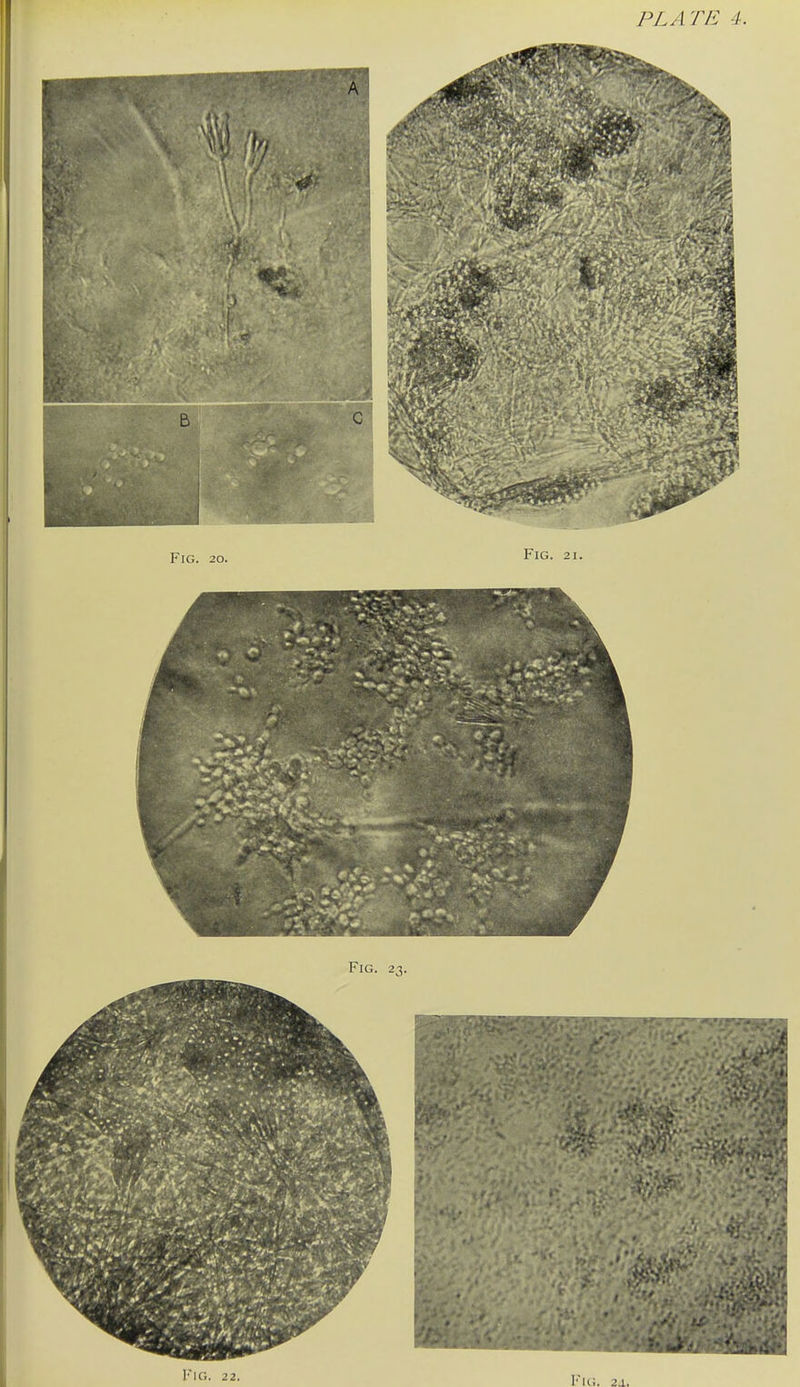 Fig. 2 2. lu;. 2J,.