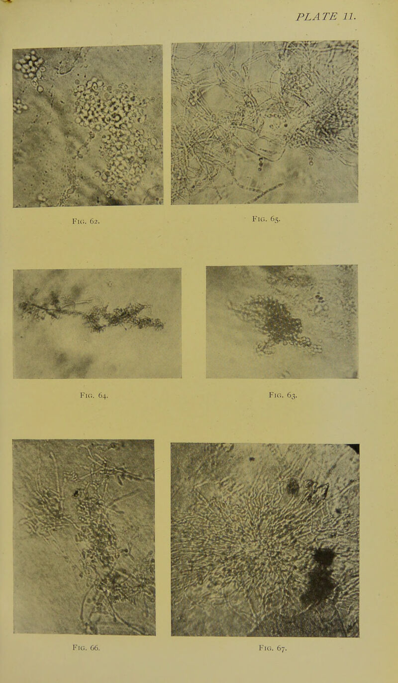 Fig. 66. Fig. 67.