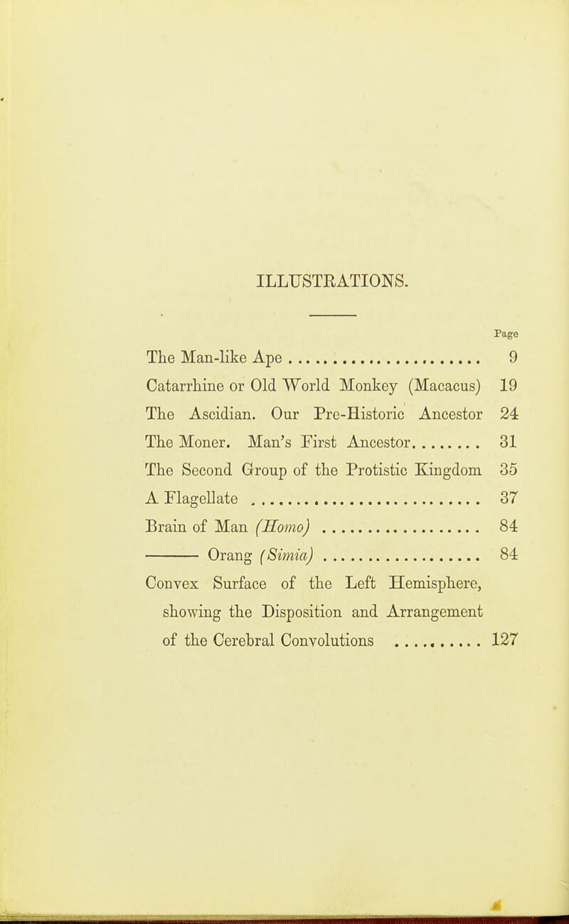 ILLUSTRATIONS. Page The Man-like Ape 9 Catarrhine or Old World Monkey (Macacus) 19 The Ascidian. Our Pre-Historic Ancestor 24 The Moner. Man's First Ancestor 31 The Second Group of the Protistic Kingdom 35 A Flagellate 37 Brain of Man (Homo) 84 Orang (Simia) 84 Convex Surface of the Left Hemisphere, showing the Disposition and Arrangement of the Cerebral Convolutions 127