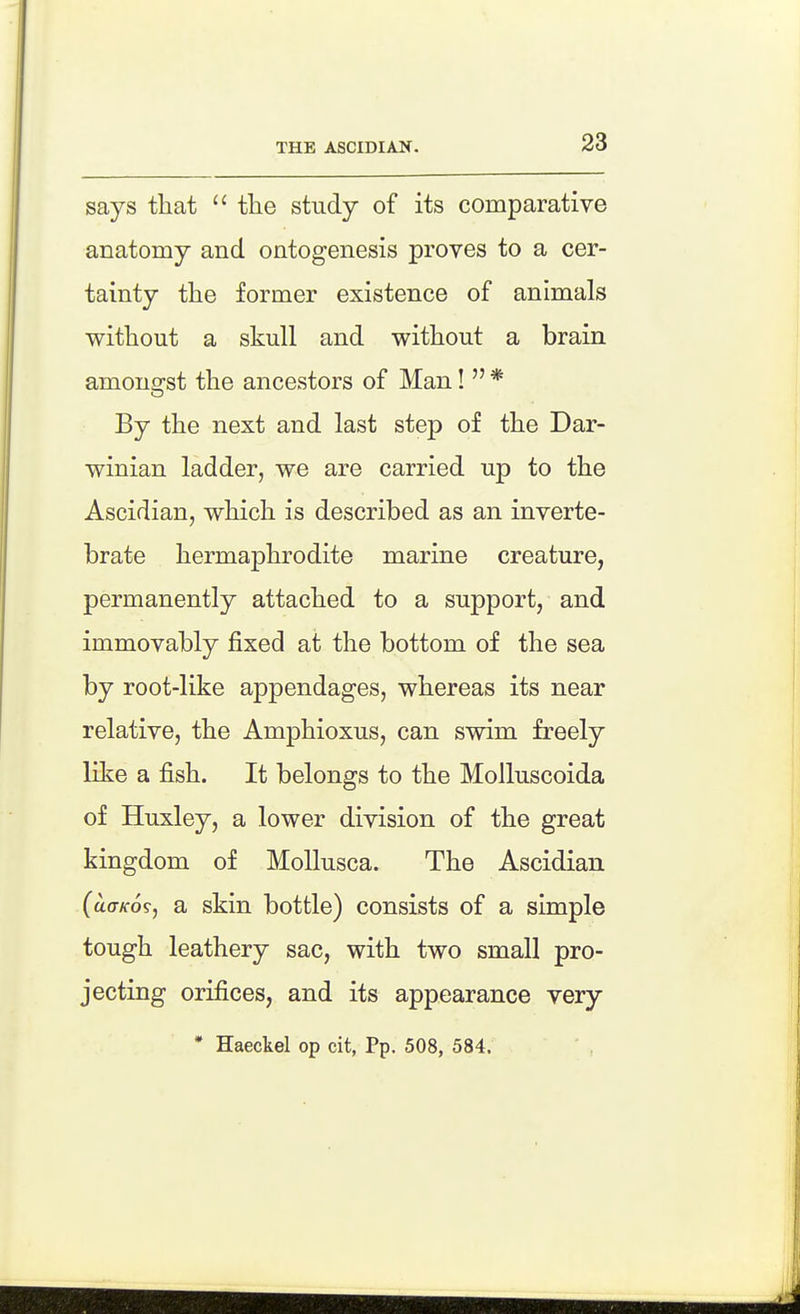 says that  the study of its comparative anatomy and ontogenesis proves to a cer- tainty the former existence of animals without a skull and without a brain amongst the ancestors of Man!  * By the next and last step of the Dar- winian ladder, we are carried up to the Ascidian, which is described as an inverte- brate hermaphrodite marine creature, permanently attached to a support, and immovably fixed at the bottom of the sea by root-like appendages, whereas its near relative, the Amphioxus, can swim freely like a fish. It belongs to the Molluscoida of Huxley, a lower division of the great kingdom of MoUusca. The Ascidian (ao-/f09, a skin bottle) consists of a simple tough leathery sac, with two small pro- jecting orifices, and its appearance very * Haeckel op cit, Pp. 508, 584.