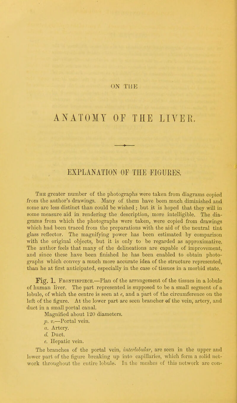 ON Till': ANATOMY OF THE LIYEK. EXPLANATION OF THE FIGURES. The greater number of the photographs were taken from diagrams copied from the author's drawings. Many of them have been much diminished aud some are less distinct than could be wished; but it is hoped that they will in some measure aid in rendering the description, more intelligible. The dia- grams from which the photographs were taken, were copied from di-awings which had been traced from the preparations with the aid of the neutral tint glass reflector. The magnifying power has been estimated by comparison with the original objects, but it is only to be regarded as approximative. The author feels that many of the delineations are capable of improvement, aud since these have been finished he has been enabled to obtain photo- graphs which convey a much more accurate idea of the structure represented, than he at first anticipated, especially in the case of tissues in a morbid state. Fig. 1. Frontispiece.—Plan of the arrangement of the tissues in a lobule of human liver. The part represented is supposed to be a small segment of a lobule, of which the centre is seen at e, and a part of the circumference on the left of the figure. At the lower part are seen branches of the vein, artery, and duct in a small portal canal. Magnified about 120 diameters. ]). V.—Portal vein. a. Artery. d. Duct. e. Hepatic vein. The branches of the portal vein, interlobular, are seen in the upper and lower part of the figure breaking up into capillaries, which form a solid net- work throughout the entire lobule. In the meshes of this network arc con-