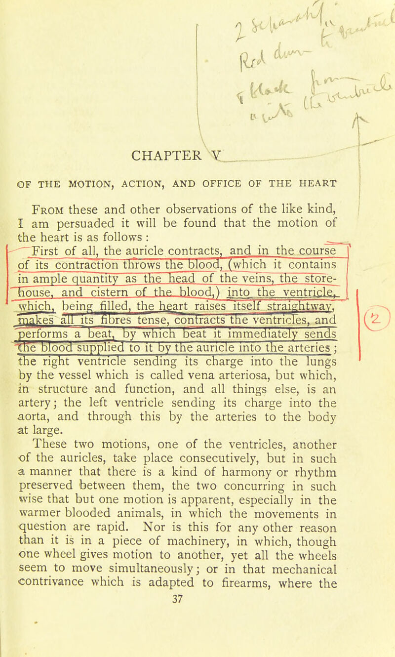 OF THE MOTION, ACTION, AND OFFICE OF THE HEART From these and other observations of the like kind, I am persuaded it will be found that the motion of the heart is as follows : , First of all, the auricle contracts^ and in the course pflts contraction throws the blood, (which it contains in ample quantity as the head of the vems^ the stofe- Tiouse. and cistern of the hlooj,) igto^^the ventrick^ which, being filled, the heart raises itself straightway, makes all its fibres tense, conrracts the ventricles, and 'performs a beat, by which beat it immediately sends ^We blood supplied to it by the auricle into the arteries ; the right ventricle sending its charge into the lungs by the vessel which is called vena arteriosa, but which, in structure and function, and all things else, is an artery; the left ventricle sending its charge into the aorta, and through this by the arteries to the body at large. These two motions, one of the ventricles, another of the auricles, take place consecutively, but in such a manner that there is a kind of harmony or rhythm preserved between them, the two concurring in such wise that but one motion is apparent, especially in the warmer blooded animals, in which the movements in question are rapid. Nor is this for any other reason than it is in a piece of machinery, in which, though one wheel gives motion to another, yet all the wheels seem to move simultaneously; or in that mechanical contrivance which is adapted to firearms, where the