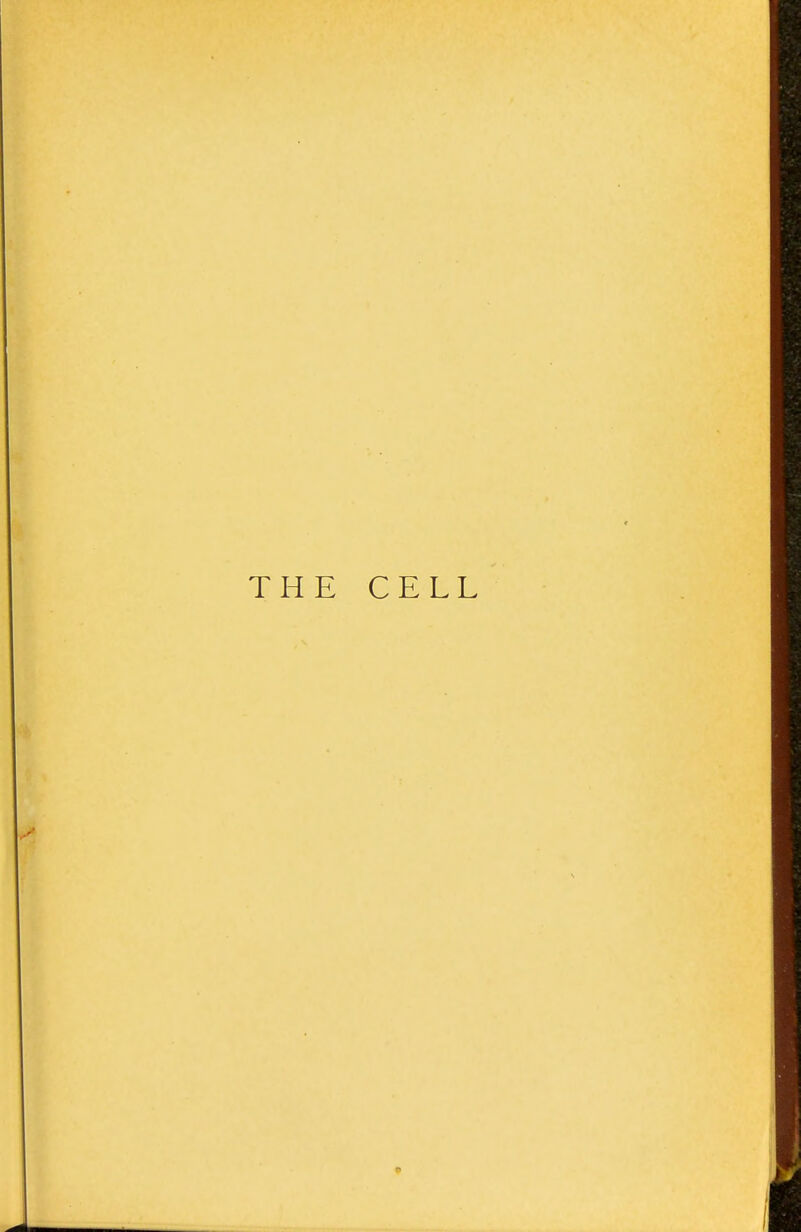 THE CELL