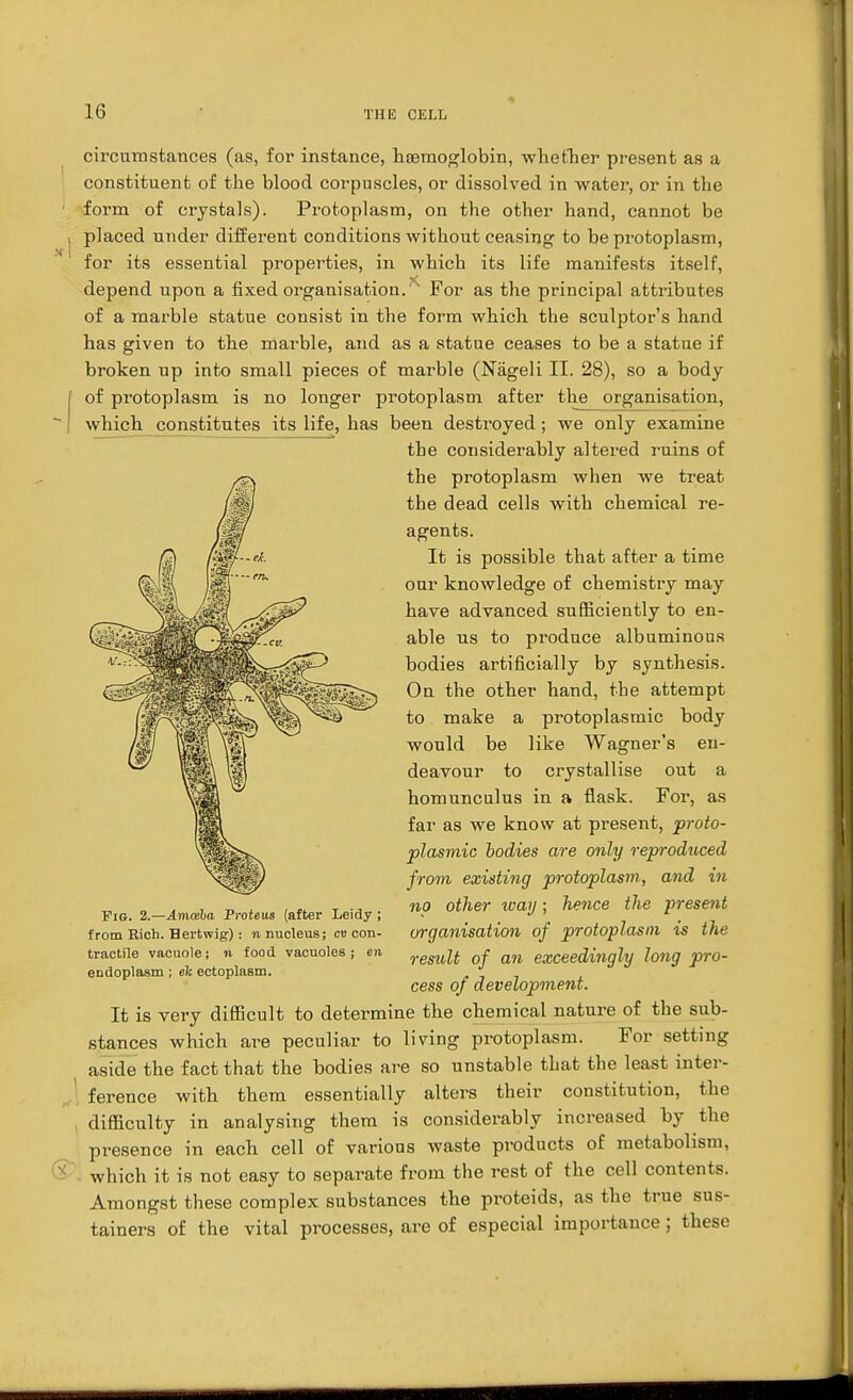 circumstances (as, for instance, hoemoglobin, whether present as a constituent of the blood corpuscles, or dissolved in water, or in the form of crystals). Protoplasm, on the other hand, cannot be placed under different conditions without ceasing to be protoplasm, for its essential properties, in which its life manifests itself, depend upon a fixed organisation.x For as the principal attributes of a marble statue consist in the form which the sculptor's hand has given to the marble, and as a statue ceases to be a statue if broken up into small pieces of marble (Nageli II. 28), so a body of protoplasm is no longer protoplasm after the organisation, which constitutes its life, has been destroyed; we only examine the considerably altered ruins of the protoplasm when we treat the dead cells with chemical re- agents. It is possible that after a time our knowledge of chemistry may have advanced sufficiently to en- able us to produce albuminous bodies artificially by synthesis. On the other hand, the attempt to make a protoplasmic body would be like Wagner's en- deavour to crystallise out a homunculus in a flask. For, as far as we know at present, proto- plasmic bodies are only reproduced from existing protoplasm, and in ^.X-AmceU Proteus (after Leidy; n? other way; hence the present from Rich. Hertwig): n nucleus; cu con- organisation of protoplasm is the tractile vacuole; n food vacuoles; en remH 0f an exceedingly long pro- endoplasm ; ek ectoplasm. , cess of development. It is very difficult to determine the chemical nature of the sub- stances which are peculiar to living protoplasm. For setting aside the fact that the bodies are so unstable that the least inter- ference with them essentially alters their constitution, the difficulty in analysing them is considerably increased by the presence in each cell of various waste products of metabolism, which it is not easy to separate from the rest of the cell contents. Amongst these complex substances the proteids, as the true sus- tained of the vital processes, are of especial importance ; these