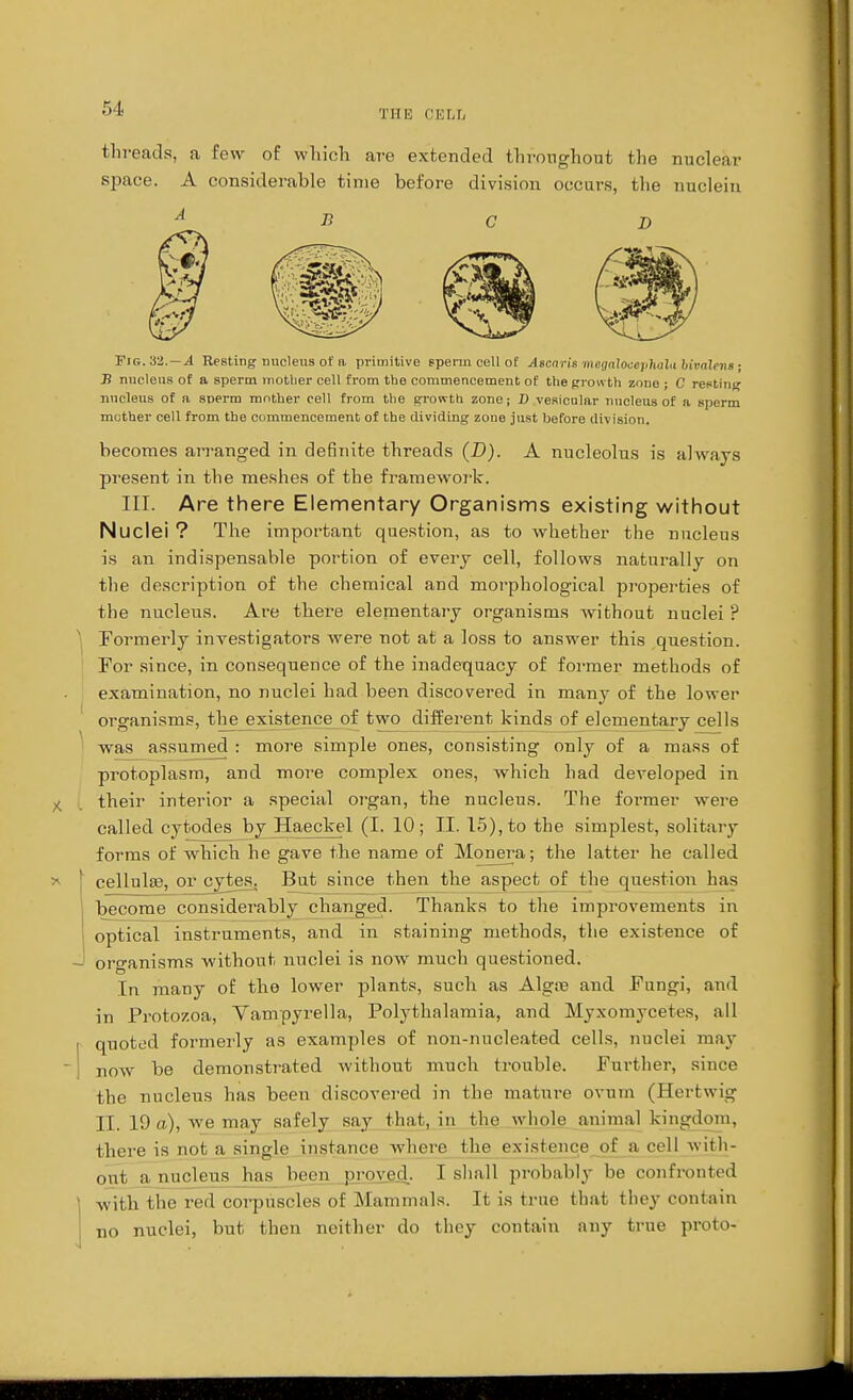 r.4. Tin: CELL threads, a few of which are extended throughout the nuclear space. A considerable time before division occurs, the nuclein A B CD Fig. 32.-4 Resting nucleus of a primitive eperm cell of Ascaris megalooephala bivalent; B nucleus of a sperm mother cell from the commencement of the growth zone ; C resting nucleus of a sperm mother cell from the growth zone; D vesicular nucleus of a sperm mother cell from the commencement of the dividing zone just before division. becomes arranged in definite threads (ID). A nucleolus is always present in the meshes of the framework. III. Are there Elementary Organisms existing without Nuclei ? The important question, as to whether the nucleus is an indispensable portion of every cell, follows naturally on the description of the chemical and morphological properties of the nucleus. Are there elementary organisms without nuclei ? Formerly investigators were not at a loss to answer this question. For since, in consequence of the inadequacy of former methods of examination, no nuclei had been discovered in many of the lower organisms, the^existence of two different kinds of elementary cells was assumed : more simple ones, consisting only of a mass of protoplasm, and more complex ones, which had developed in y their interior a special organ, the nucleus. The former were called cytodes by Haeckel (I. 10; II. 15), to the simplest, solitary forms of which he gave the name of Monera; the latter he called cellulae, or cytes. But since then the aspect of the question has become considerably changed. Thanks to the improvements in optical instruments, and in staining methods, the existence of organisms without nuclei is now much questioned. In many of the lower plants, such as Algsre and Fungi, and in Protozoa, Vampyrella, Polythalamia, and Myxomycetes, all quoted formerly as examples of non-nucleated cells, nuclei may now be demonstrated without much trouble. Further, since the nucleus has been discovered in the mature ovum (Hertwig II. 19 a), we may safely say that, in the whole animal kingdom, there is not a single instance where the existence of a cell with- out a nucleus has been proved. I shall probably be confronted with the red corpuscles of Mammals. It is true thai they contain no nuclei, but then neither do they contain any true proto-