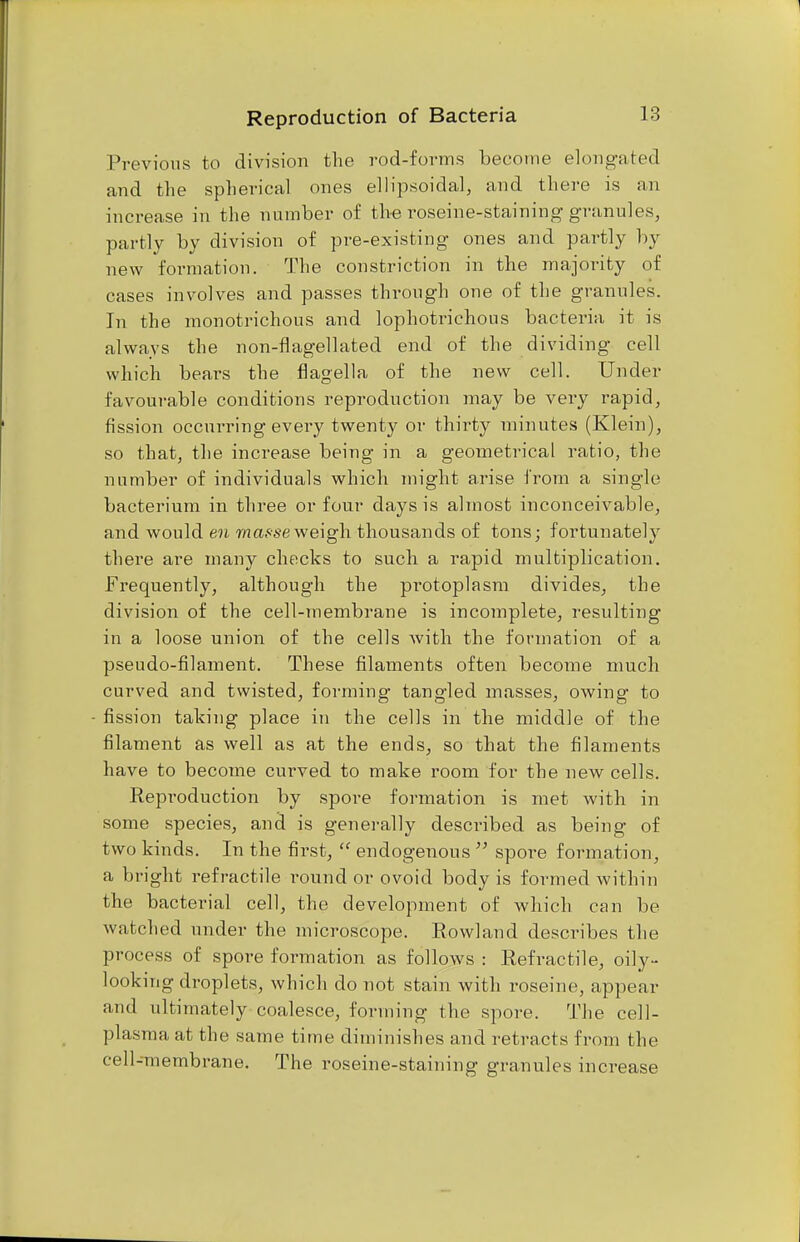 Previous to division the rod-forms become elongated and the spherical ones ellipsoidal, and there is an increase in the number of the roseine-staining granules, partly by division of pre-existing ones and partly by new formation. The constriction in the majority of cases involves and passes through one of the grannies. In the monotrichous and lophotrichous bacteria it is always the non-flagellated end of the dividing cell which bears the flagella of the new cell. Under favourable conditions reproduction may be very rapid, fission occurring every twenty or thirty minutes (Klein), so that, the increase being in a geometrical ratio, the number of individuals which might arise from a single bacterium in three or four days is almost inconceivable, and would en masse weigh thousands of tons; fortunately there are many checks to such a rapid multiplication. Frequently, although the protoplasm divides, the division of the cell-membrane is incomplete, resulting in a loose union of the cells with the formation of a pseudo-filament. These filaments often become much curved and twisted, forming tangled masses, owing to fission talcing place in the cells in the middle of the filament as well as at the ends, so that the filaments have to become curved to make room for the new cells. Reproduction by spore formation is met with in some species, and is generally described as being of two kinds. In the first,  endogenous  spore formation, a bright refractile round or ovoid body is formed within the bacterial cell, the development of which can be watched under the microscope. Rowland describes the process of spore formation as follows : Refractile, oily- looking droplets, which do not stain with roseine, appear and ultimately coalesce, forming the spore. The cell- plasma at the same time diminishes and retracts from the cell-membrane. The roseine-staining granules increase