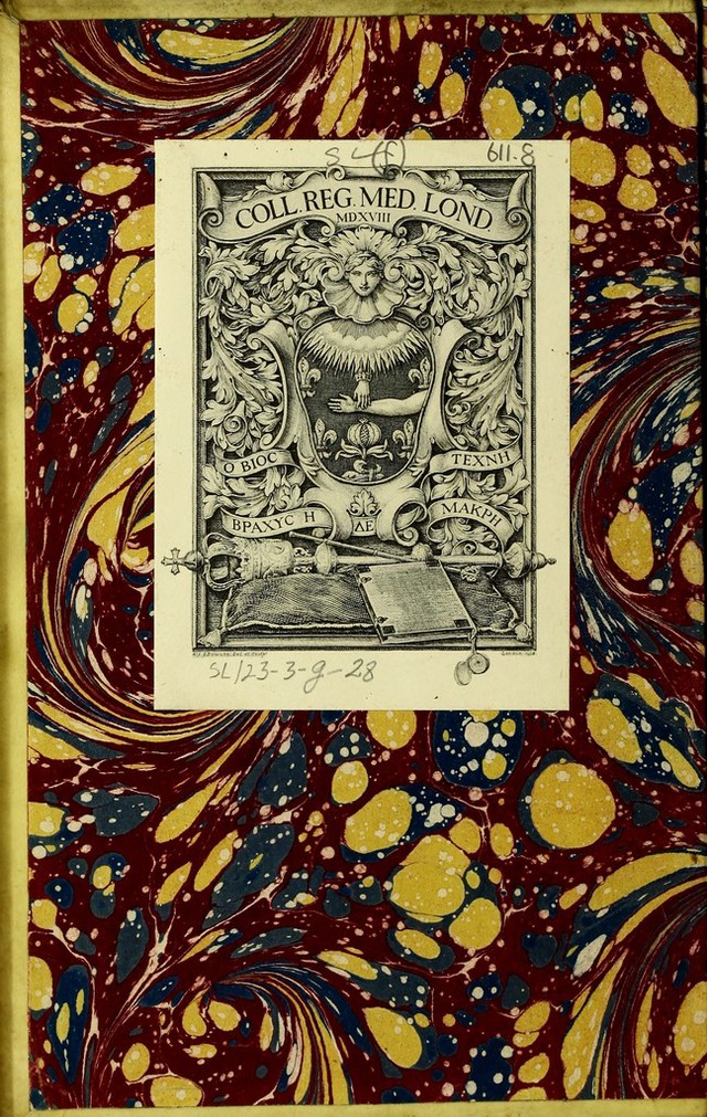 No text description is available for this image