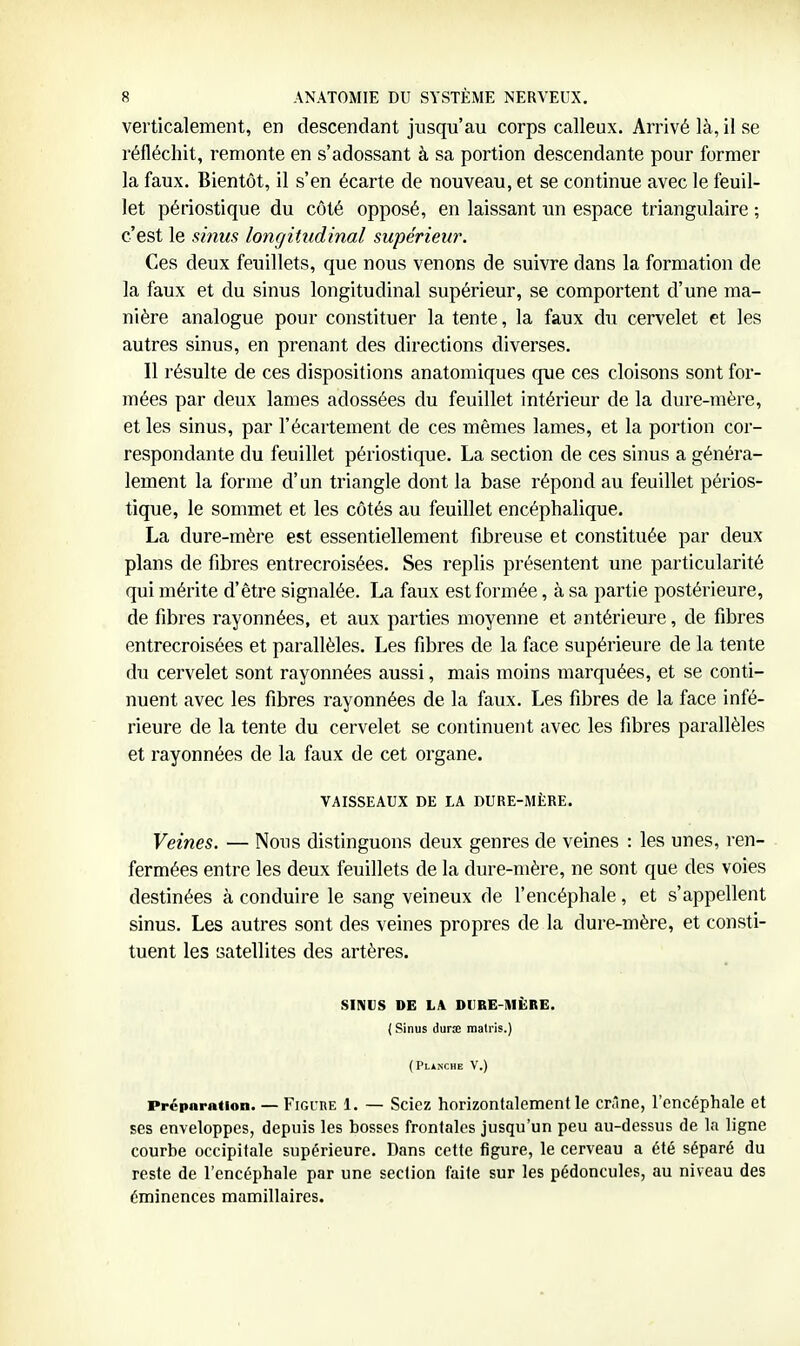 verticalement, en descendant jusqu'au corps calleux. Arrivé là, il se réfléchit, remonte en s'adossant à sa portion descendante pour former la faux. Bientôt, il s'en écarte de nouveau, et se continue avec le feuil- let périostique du côté opposé, en laissant un espace triangulaire ; c'est le si7ius longitudinal supérieu7\ Ces deux feuillets, que nous venons de suivre dans la formation de la faux et du sinus longitudinal supérieur, se comportent d'une ma- nière analogue pour constituer la tente, la faux du cervelet et les autres sinus, en prenant des directions diverses. Il résulte de ces dispositions anatomiques que ces cloisons sont for- mées par deux lames adossées du feuillet intérieur de la dure-mère, et les sinus, par l'écartement de ces mêmes lames, et la portion cor- respondante du feuillet périostique. La section de ces sinus a généra- lement la forme d'un triangle dont la base répond au feuillet périos- tique, le sommet et les côtés au feuillet encéphalique. La dure-mère est essentiellement fibreuse et constituée par deux plans de fibres entrecroisées. Ses replis présentent une particularité qui mérite d'être signalée. La faux est formée, à sa partie postérieure, de fibres rayonnées, et aux parties moyenne et antérieure, de fibres entrecroisées et parallèles. Les fibres de la face supérieure de la tente du cervelet sont rayonnées aussi, mais moins marquées, et se conti- nuent avec les fibres rayonnées de la faux. Les fibres de la face infé- rieure de la tente du cervelet se continuent avec les fibres parallèles et rayonnées de la faux de cet organe. VAISSEAUX DE LA DURE-MÈRE. Veines. — Nous distinguons deux genres de veines : les unes, ren- . fermées entre les deux feuillets de la dure-mère, ne sont que des voies destinées à conduire le sang veineux de l'encéphale, et s'appellent sinus. Les autres sont des veines propres de la dure-mère, et consti- tuent les satellites des artères. SINUS DE LiV DURE-MÈRE. ( Sinus dura; matris.) (PLÀJiCHE V.) Préparation. — Figure 1. — Sciez horizontalement le crâne, l'encéphale et ses enveloppes, depuis les bosses frontales jusqu'un peu au-dessus de la ligne courbe occipitale supérieure. Dans cette figure, le cerveau a été séparé du reste de l'encéphale par une section faite sur les pédoncules, au niveau des éminences mamillaires.