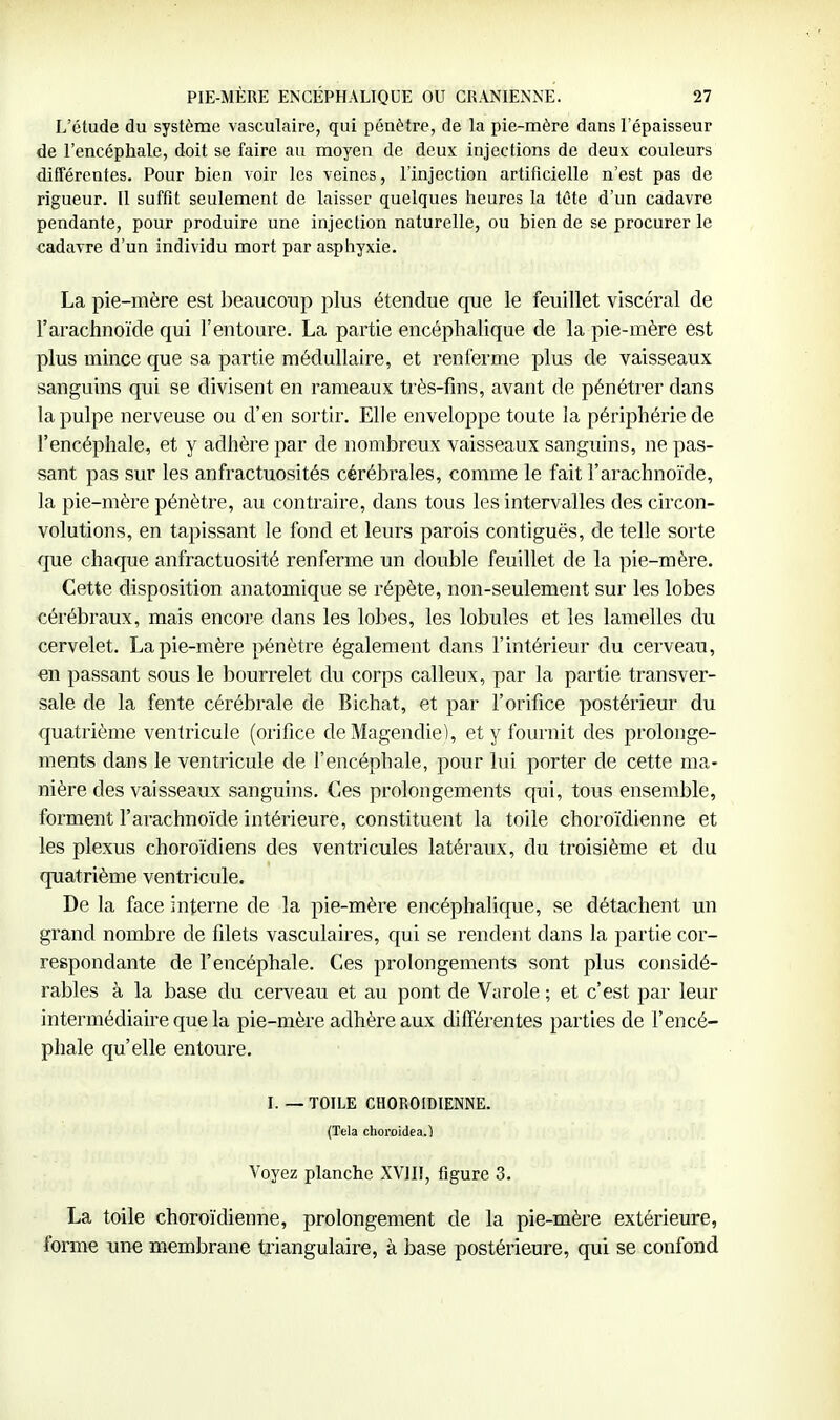 L'étude du système vasculaire, qui pénètre, de la pie-mère dans l'épaisseur de l'encéphale, doit se faire an moyen de deux injections de deux couleurs différentes. Pour bien voir les veines, l'injection artificielle n'est pas de rigueur. Il suffit seulement de laisser quelques heures la téte d'un cadavre pendante, pour produire une injection naturelle, ou bien de se procurer le cadavre d'un individu mort par asphyxie. La pie-mère est beaucoup plus étendue que le feuillet viscéral de l'arachnoïde qui l'entoure. La partie encéphalique de la pie-mère est plus mince que sa partie médullaire, et renferme plus de vaisseaux sanguins qui se divisent en rameaux très-fins, avant de pénétrer dans la pulpe nerveuse ou d'en sortir. Elle enveloppe toute la périphérie de l'encéphale, et y adhère par de nombreux vaisseaux sanguins, ne pas- sant pas sur les anfractuosités cérébrales, comme le fait l'arachnoïde, la pie-mère pénètre, au contraire, dans tous les intervalles des circon- volutions, en tapissant le fond et leurs parois contiguës, de telle sorte que chaque anfractuosité renferme un double feuillet de la pie-mère. Cette disposition anatomique se répète, non-seulement sur les lobes cérébraux, mais encore dans les lobes, les lobules et les lamelles du cervelet. La pie-mère pénètre également dans l'intérieur du cerveau, en passant sous le bourrelet du corps calleux, par la partie transver- sale de la fente cérébrale de Bichat, et par l'orifice postérieur du quatrième ventricule (orifice deMagendie), et y fournit des prolonge- ments dans le ventricule de l'encéphale, pour lui porter de cette ma- nière des vaisseaux sanguins. €es prolongements qui, tous ensemble, forment l'arachnoïde intérieure, constituent la toile choroïdienne et les plexus choroïdiens des ventricules latéraux, du troisième et du quatrième ventricule. De la face interne de la pie-mère encéphalique, se détachent un grand nombre de filets vasculaires, qui se rendent dans la partie cor- respondante de l'encéphale. Ces prolongements sont plus considé- rables à la base du cerveau et au pont de Varole ; et c'est par leur intermédiaire que la pie-mère adhère aux différentes parties de l'encé- phale qu'elle entoure. I. — TOILE CHOROÏDIENNE. (Tela choroidea.l Voyez planche XYIU, figure 3. La toile choroïdienne, prolongement de la pie-mère extérieure, forme une membrane triangulaire, à base postérieure, qui se confond