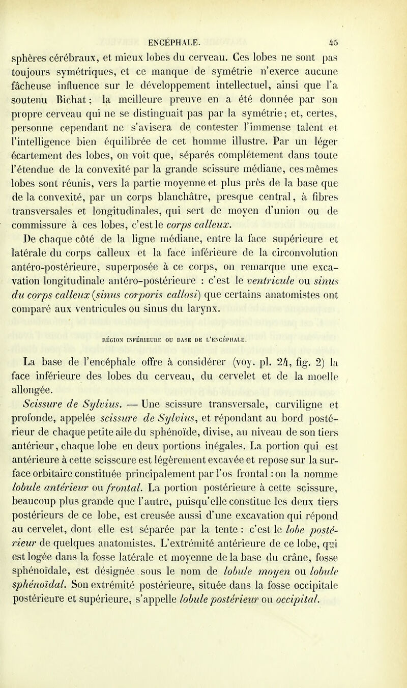 sphères cérébraux, et mieux lobes du cerveau. Ces lobes ne sont pas toujours symétriques, et ce manque de symétrie n'exerce aucune fâcheuse influence sur le développement intellectuel, ainsi que l'a soutenu Bichat ; la meilleure preuve en a été donnée par son propre cerveau qui ne se distinguait pas par la syxuétrie ; et, certes, personne cependant ne s'avisera de contester l'immense talent et l'intelligence bien équilibrée de cet honmie illustre. Par un léger écartement des lobes, on voit que, séparés complètement dans toute l'étendue de la convexité par la grande scissure médiane, ces mêmes lobes sont réunis, vers la partie moyenne et plus près de la base que de la convexité, par un corps blanchâtre, presque central, à fibres transversales et longitudinales, qui sert de moyen d'union ou de commissure à ces lobes, c'est\e corps calleux. De chaque côté de la ligne médiane, entre la face supérieure et latérale du corps calleux et la face inférieure de la ciz'convolution antéro-postérieure, superposée à ce corps, on remarque une exca- vation longitudinale antéro-postérieure : c'est le ventricule ou sinus du coi'ps calleux (sinus corporis callosi) c{ue certains anatomistes ont comparé aux ventricules ou sinus du larynx. RÉGION INFÉRIEURE OU DASE DE L'EXCKPHALE. La base de l'encéphale offre à considérer (voy. pl. 2/i, fig. 2) la face inférieure des lobes du cerveau, du cervelet et de la moelle allongée. Scissure de Sylvius. — Une scissure transversale, curviligne et profonde, appelée scissure de Sylvius, et répondant au bord posté- rieur de chaque petite aile du sphénoïde, divise, au niveau de son tiers antérieur, chaque lobe en deux portions inégales. La portion qui est antérieure à cette scisscure est légèrement excavée et repose sur la sur- face orbitaire constituée principalement par l'os frontal : on la nomme lobule antérieur ou frontal. La portion postérieure à cette scissure, beaucoup plus grande que l'autre, puisc^u'elle constitue les deux tiers postérieurs de ce lobe, est creusée aussi d'une excavation qui répond au cervelet, dont elle est séparée par la tente : c'est le lobe posté- rieur de quelques anatomistes. L'extrémité antérieure de ce lobe, cpji est logée dans la fosse latérale et moyenne de la base du crâne, fosse sphénoïdale, est désignée sous le nom de lobule moyen ou lobule sphénoïdal. Son extrémité postérieure, située dans la fosse occipitale postérieure et supérieure, s'appelle lobule postérieur ou occipital.