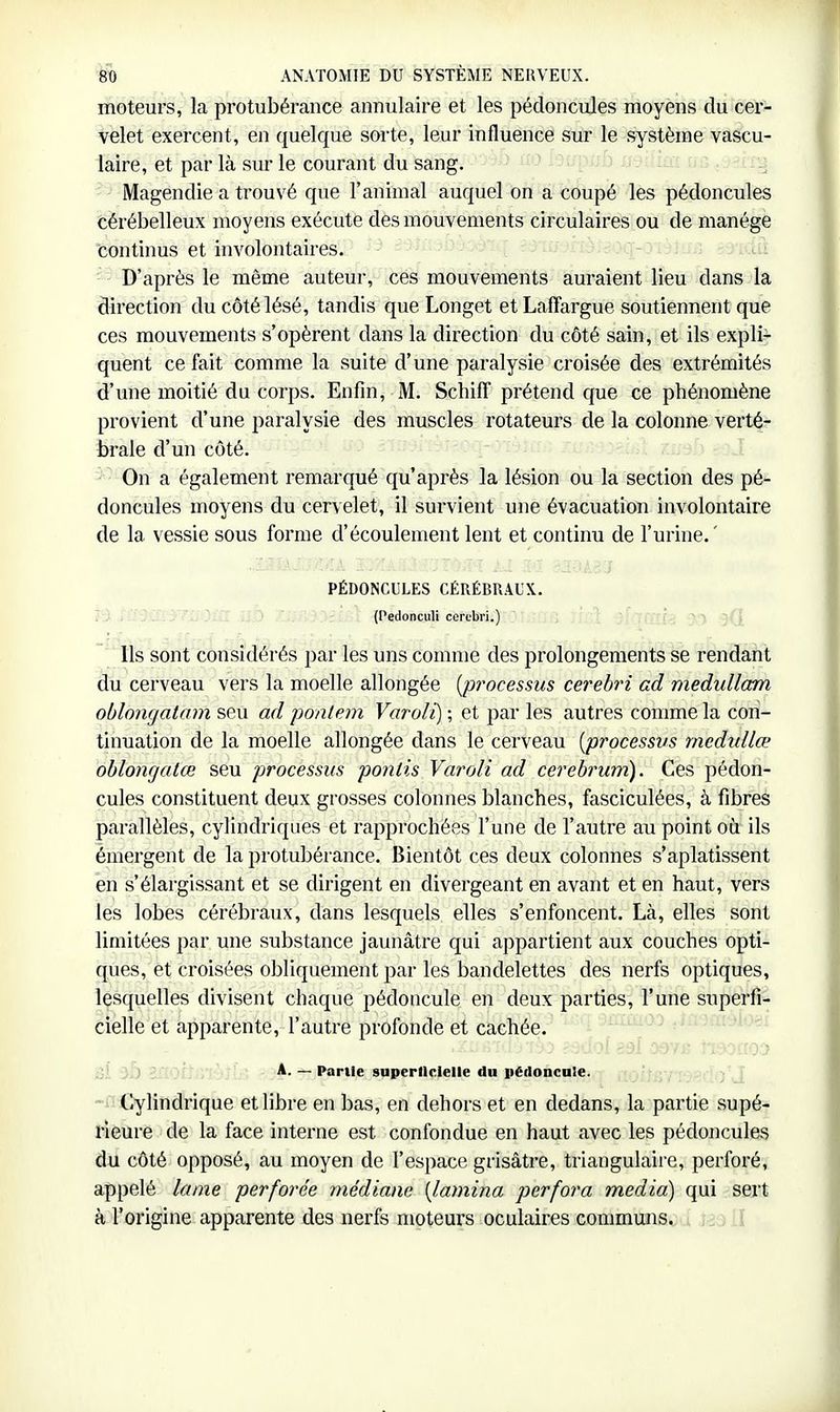 moteurs, la protubérance annulaire et les pédoncules moyens du cer- velet exercent, en quelque sorte, leur influence sur le système vascu- laire, et par là sur le courant du sang. Magendie a trouvé que l'animal auquel on a coupé les pédoncules cérébelleux moyens exécute des mouvements circulaires ou de manège continus et involontaires. D'après le même auteur, ces mouvements auraient lieu dans la direction du côté lésé, tandis que Longet et Laffargue soutiennent que ces mouvements s'opèrent dans la direction du côté sain, et ils expli* quent ce fait comme la suite d'une paralysie croisée des extrémités d'une moitié du corps. Enfin, M. Schiff prétend que ce phénomène provient d'une paralysie des muscles rotateurs de la colonne verté- brale d'un côté. On a également remarqué qu'après la lésion ou la section des pé- doncules moyens du cervelet, il survient une évacuation involontaire de la vessie sous forme d'écoulement lent et continu de l'urine.' PÉDONCULES CÉRÉBRAUX. ïù (Pedonculi cerebri.) flfâ 9.D 9(1 Ils sont considérés par les uns comme des prolongements se rendant du cerveau vers la moelle allongée {pi^ocessus cerebri ad medidlam oblongalam seu ad ponlem Varoli) ; et par les autres comme la con- tinuation de la moelle allongée dans le cerveau [processus rnedullœ oblongatœ seu processus pontis Varoli ad cerebrum). Ces pédon- cules constituent deux grosses colonnes blanches, fasciculées, à fibres parallèles, cylindriques et rapprochées l'une de l'autre au point où ils émergent de la protubérance. Bientôt ces deux colonnes s'aplatissent en s'élargissant et se dirigent en divergeant en avant et en haut, vers les lobes cérébraux, dans lesquels elles s'enfoncent. Là, elles sont limitées par une substance jaunâtre qui appartient aux couches opti- ques, et croisées obliquement par les bandelettes des nerfs optiques, lesquelles divisent chaque pédoncule en deux parties, l'une superfi- cielle et apparente, l'autre profonde et cachée. iiiùiOO Mv^m-diOr: si ?Of*^''t' A. — Partie superticlelle dn pédoncale. -ri Cylindrique et libre en bas, en dehors et en dedans, la partie supé- rieure de la face interne est confondue en haut avec les pédoncules du côté opposé, au moyen de l'espace grisâtre, triangulaire, perforé, appelé lame perforée médiane [lamina perfora media) qui sert à l'origine apparente des nerfs moteurs oculaires communs, i Uùil