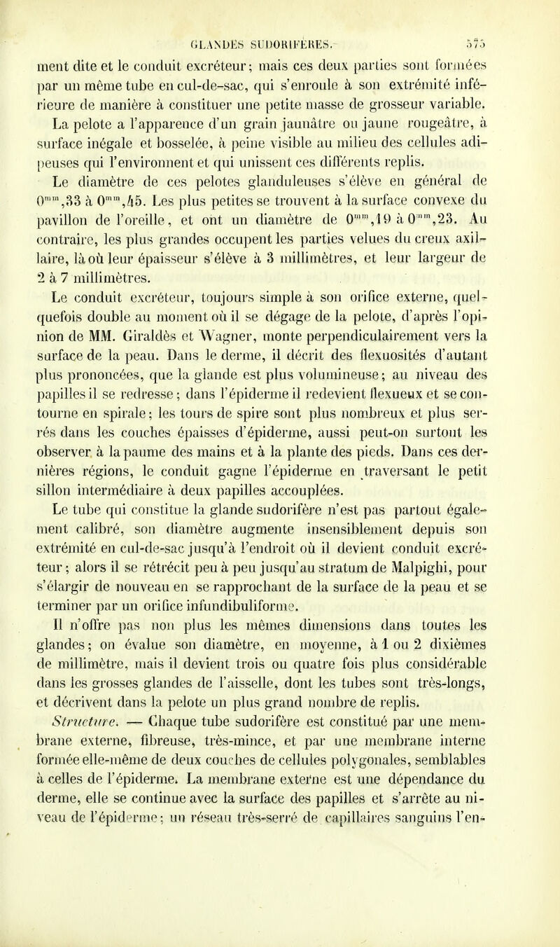GLANDES SUUORIFÈRES.- ôT.j ment dite et le conduit excréteur; mais ces deux parlies sont formées par un même tube en cul-de-sac, qui s'enroule à son extrémité infé- rieure de manière à constituer une petite masse de grosseur variable, La pelote a l'apparence d'un grain jaunâtre ou jaune rougeâtre, à surface inégale et bosselée, à peine visible au milieu des cellules adi- [)euses qui l'environnent et qui unissent ces différents replis. Le diamètre de ces pelotes glanduleuses s'élève en général de 0™',83 à 0,/(5. Les plus petitesse trouvent à la surface convexe du pavillon de l'oreille, et ont un diamètre de 0,U) à 0''%23. Au contraire, les plus grandes occupent les parties velues du creux axil- laire, là où leur épaisseur s'élève à 3 millimètres, et leur largeur de 2 à 7 millimètres. Le conduit excréteur, toujours simple à son orifice externe, quel- quefois double au moment où il se dégage de la pelote, d'après l'opi- nion de MM. Giraldès et Wagner, monte perpendiculairement vers la surface de la peau. Dans le derme, il décrit des llexuosités d'autant plus prononcées, que la glande est plus volumineuse; au niveau des papilles il se redresse; dans l'épidermeil redevient llexueux et se con- tourne en spii'ale ; les tours de spire sont plus nombreux et plus ser- rés dans les couches épaisses d'épidémie, aussi peut-on surtout les observer à la paume des mains et à la plante des pieds. Dans ces dei'- nières régions, le conduit gagne l'épiderme en traversant le petit sillon intermédiaire à deux papilles accouplées. Le tube qui constitue la glande sudorifère n'est pas partout égale- ment calibré, son diamètre augmente insensiblement depuis son extrémité en cul-de-sac jusqu'à l'endroit où il devient conduit excré- teur ; alors il se rétrécit peu à peu jusqu'au stratum de Malpighi, pour s'élargir de nouveau en se rapprochant de la surface de la peau et se terminer par un orifice infundibuliforme. Il n'offre pas non plus les mêmes dimensions dans toutes les glandes; on évalue son diamètre, en moyenne, à 1 ou 2 dixièmes de millimètre, mais il devient trois ou quatre fois plus considérable dans les grosses glandes de l'aisselle, dont les tubes sont très-longs, et décrivent dans la pelote un plus grand nombre de replis. Stmctvre. — Chaque tube sudorifère est constitué par une mem- brane externe, fibreuse, très-mince, et par une membrane interne formée elle-même de deux couches de cellules polygonales, semblables à celles de l'épiderme^ La membrane extei'ne est une dépendance du derme, elle se continue avec la surface des papilles et s'arrête au ni- veau de répidi'rnie ; un réseau très-serré de capillaires sanguins l'en-