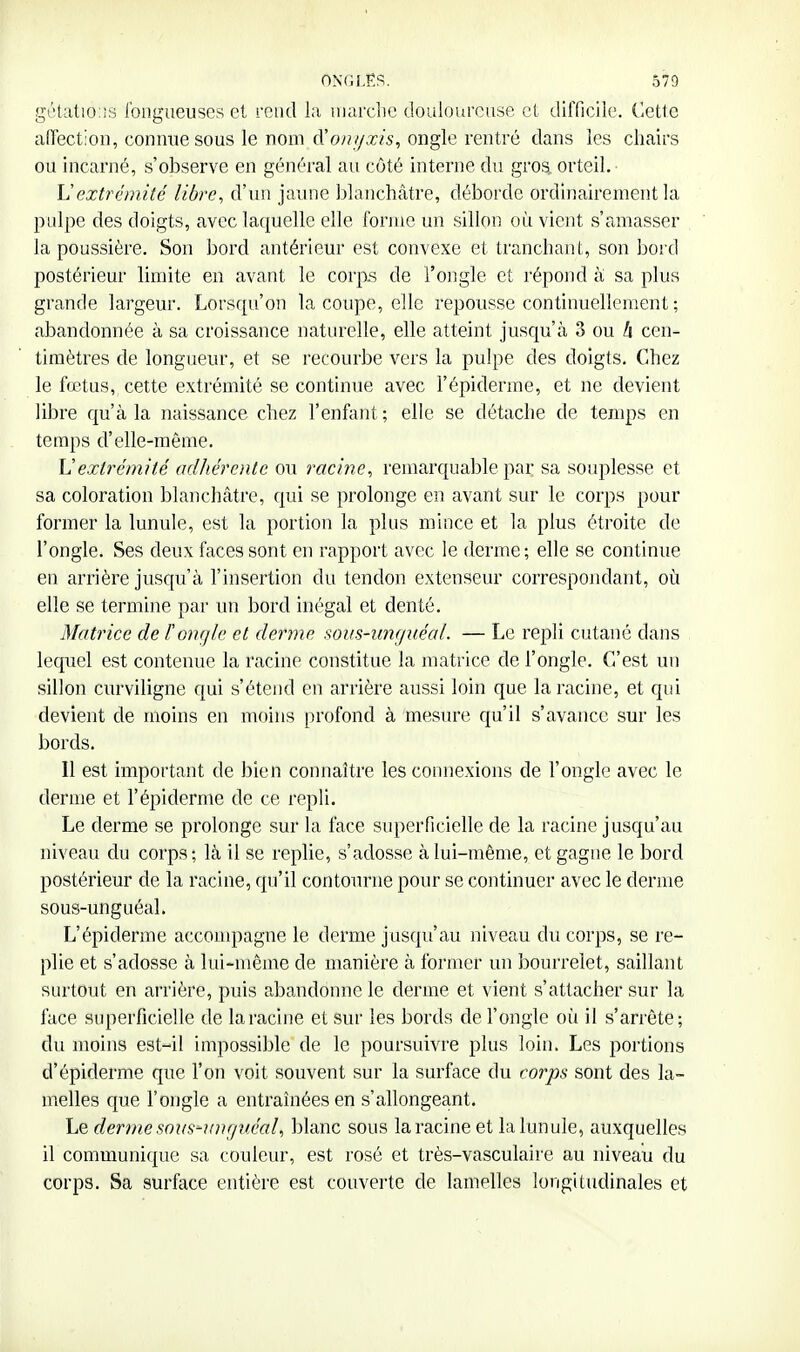 gétat!o:!s Ibiigueuses et rend i;i niarclic douloureuse et difficile. Cette aiïection, connue sous le nom d'on/jxis, ongle rentré dans les chairs ou incarné, s'observe en général au côté interne du gros, orteil. Vextrémité libre, d'un jaune blanchâtre, déborde ordinairement la pulpe des doigts, avec laquelle elle forme un sillon où vient s'amasser la poussière. Son bord antérieur est convexe et tranchant, son bord postérieur limite en avant le corp.s de l'ongle et répond à sa plus grande largeur. Lorsqu'on la coupe, elle repousse continuellement ; abandonnée à sa croissance naturelle, elle atteint jusqu'à 3 ou i cen- timètres de longueur, et se recourbe vers la pulpe des doigts. Chez le fœtus, cette extrémité se continue avec l'épiderme, et ne devient libre qu'à la naissance chez l'enfant; elle se détache de temps en temps d'elle-même. Uextrémité adliérente ou racine, remarquable par sa souplesse et sa coloration blanchâtre, qui se prolonge en avant sur le corps pour former la lunule, est la portion la plus mince et la plus étroite de l'ongle. Ses deux faces sont en rapport avec le derme; elle se continue en arrière jusqu'à l'insertion du tendon extenseur correspondant, où elle se termine par un bord inégal et denté. Matrice de l'onrjle et derme sous-unguéal. — Le repli cutané dans lequel est contenue la racine constitue la matrice de l'ongle. C'est un sillon curviligne qui s'étend en arrière aussi loin que la racine, et qui devient de moins en moins profond à mesure c{u'il s'avance sur les bords. Il est important de bien connaître les connexions de l'ongle avec le derme et l'épiderme de ce repli. Le derme se prolonge sur la face superficielle de la racine jusqu'au niveau du corps; là il se replie, s'adosse à lui-même, et gagne le bord postérieur de la racine, qu'il contourne pour se continuer avec le derme sous-unguéal. L'épiderme accompagne le derme jusqu'au niveau du corps, se re- plie et s'adosse à lui-même de manière à former un bourrelet, saillant surtout en arrière, puis abandonne le derme et vient s'attacher sur la face superficielle de la racine et sur les bords de l'ongle où il s'arrête; du moins est-il impossible de le poursuivre plus loin. Les portions d'épiderme que l'on voit souvent sur la surface du corps sont des la- melles que l'ongle a entraînées en s'allongeant. Le derme soxis^rmrjuéaU blanc sous la racine et la lunule, auxquelles il communique sa couleur, est rosé et très-vasculaire au niveau du corps. Sa surface entière est couverte de lamelles lorigitudinales et