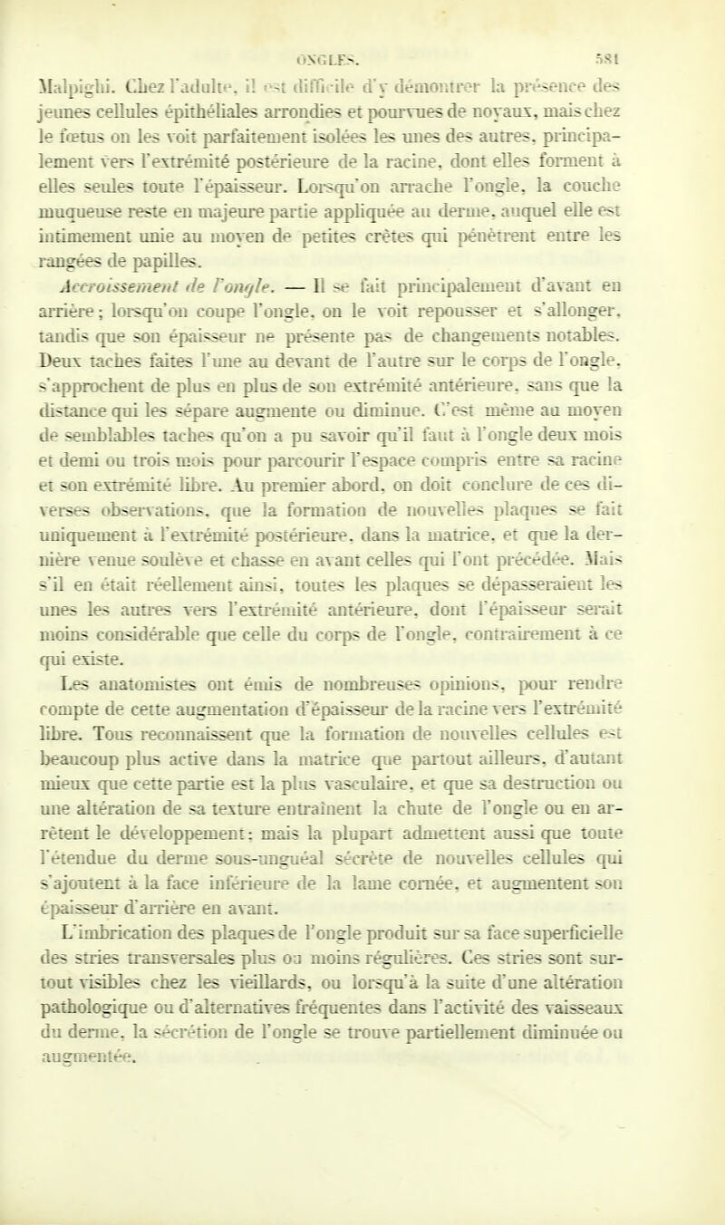 Malpiglii. CLez Tadulto, il est ililTii il»^ d'y démontrer la présence des jeunes cellules épithéliales arrondies et pourvues de noyaus, mais chez le fœtus on les voit parfaitement isolées les unes des autres, principa- lement vers rextrémité postérieure de la racine, dont elles forment à elles seules toute l'épaissem*. Loisqu'on an*ache l'ongle, la couche muqueuse reste en majeure partie appliquée au derme, auquel elle est intimement unie au moyen de petites crêtes qui pénètrent entre les rangées de papilles. Accroissement de Vûiujle. — Il se Hiit pruicipalement d'avant en arrière ; loi-squ'on coupe l'ongle, on le voit repousser et s'allonger, tandis que son épaissemr ne présente pas de changements notables. Deux taches faites l'mie au devant de l'autre sur le corps de l'ongle, s'approchent de plus en plus de son extrémité antérieure, sans que la distance qui les sépare augmente ou diminue, (..'est même au moyen de sembkvbles taches qu'on a pu savoir qu'il faut à l'ongle deux mois et demi ou trois moL< pom- parcomir l'espace compi is entre sa racine et son extrémité libre. Au premier abord, on doit conclure de ces di- verses observations, que la formation de nouvelles plaques se fait uniquement à l'extrémité postérieure, dans la matrice, et que la der- nière venue soulève et chasse en avant celles qui l'ont précédée. Mais s'il en était réellement ainsi, toutes les plaques se dépasseraient les unes les autres vere l'extrémité antérieure, dont l'épaisseur serait moins considérable que celle du corps de l'ongle, conti-airement à ce qui existe. Les anatomistes ont émis de nombreuses opinions, pom* rentlre compte de cette augmentation d'épaisseur de la l acine vers l'extrémité libre. Tous reconnaissent que la formation de nouvelles cellules est beaucoup plus active dans la matrice que partout ailleurs, d'autant mieux que cette partie est la plus vasculaire, et que sa destruction ou une altération de sa textme entraînent la chute de l'ongle ou en ar- rêtent le développement : mais la plupart admettent aussi que toute l'étendue du derme sous-imguéal sécrète de nouvelles cellules qui s'ajoutent à la face inférieure de la lame cornée, et augmentent son épaisseur d'aiTière en avant. L'imbrication des plaques de l'ongle produit sur sa face supei-ficielle des stries transversales plus oa moins régulières. Ces stries sont sur- tout visibles chez les vieillards, ou loi^squ'à la suite d'une altération pathologique ou d'alternatives fi-équentes dans l'activité des vaisseaux du derme, la sécrétion de l'ongle se trouve partiellement diminuée ou augmentée.