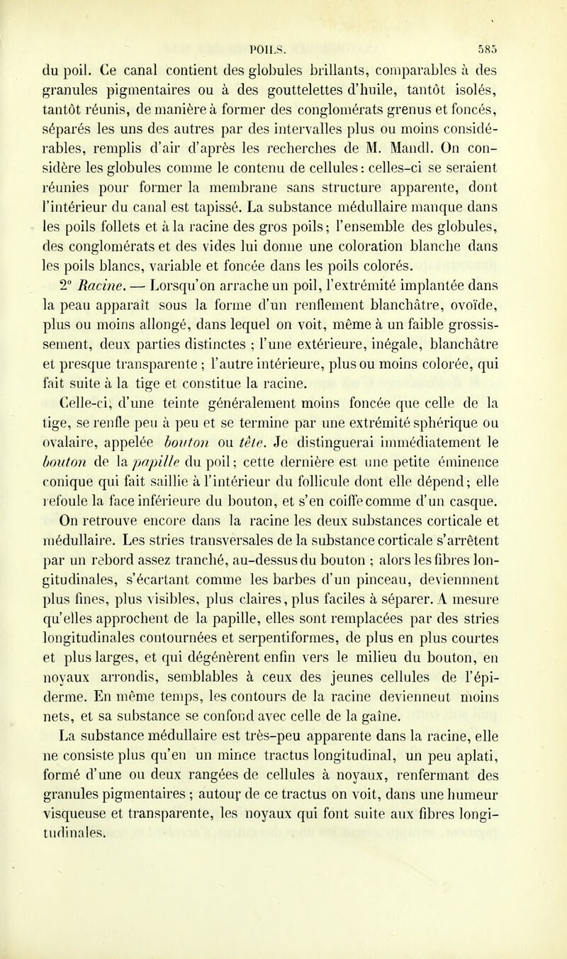 du poil. Ce canal contient des globules brillants, comparables à des granules pigmentaires ou à des gouttelettes d'huile, tantôt isolés, tantôt réunis, de manière à former des conglomérats grenus et foncés, séparés les uns des autres par des intervalles plus ou moins considé- rables, remplis d'air d'après les recherches de M. Mandl. On con- sidère les globules comme le contenu de cellules : celles-ci se seraient réunies pour former la membrane sans structure apparente, dont l'intérieur du canal est tapissé. La substance médullaire manque dans les poils follets et à la racine des gros poils; l'ensemble des globules, des conglomérats et des vides lui donne une coloration blanche dans les poils blancs, variable et foncée dans les poils colorés. 2° Racine. — Lorsqu'on arrache un poil, l'extrémité implantée dans la peau apparaît sous la forme d'un renflement blanchâtre, ovoïde, plus ou moins allongé, dans lequel on voit, même à un faible grossis- sement, deux parties distinctes ; l'une extérieure, inégale, blanchâtre et presque transparente ; l'autre intérieure, plus ou moins colorée, qui fait suite à la tige et constitue la racine. Celle-ci, d'une teinte généralement moins foncée que celle de la tige, se renfle peu à peu et se termine par une extrémité sphérique ou ovalaire, appelée bouton ou tête. Je distinguerai inunédiatement le bouton de la/;'7/j///^ du poil ; cette dernière est une petite éminence conique qui fait saillie à l'intérieur du follicule dont elle dépend; elle l efoule la face inférieure du bouton, et s'en coiffe comme d'un casque. On retrouve encore dans la racine les deux substances corticale et médullaire. Les stries transversales de la substance corticale s'arrêtent par un rebord assez tranché, au-dessus du bouton ; alors les fibres lon- gitudinales, s'écartant comme les barbes d'un pinceau, deviennnent plus fines, plus ^■isibles, plus claires, plus faciles à séparer. A mesure qu'elles approchent de la papille, elles sont remplacées par des stries longitudinales contournées et serpentiformes, de plus en plus courtes et plus larges, et qui dégénèrent enfin vers le milieu du bouton, en noyaux arrondis, semblables à ceux des jeunes cellules de l'épi- derme. En même temps, les contours de la racine deviennent moins nets, et sa substance se confond avec celle de la gaine. La substance médullaire est très-peu apparente dans la racine, elle ne consiste plus qu'en un mince tractus longitudinal, un peu aplati, formé d'une ou deux rangées de cellules à noyaux, renfermant des granules pigmentaires ; autour de ce tractus on voit, dans une humeur visqueuse et transparente, les noyaux qui font suite aux fibres longi- tudinales.