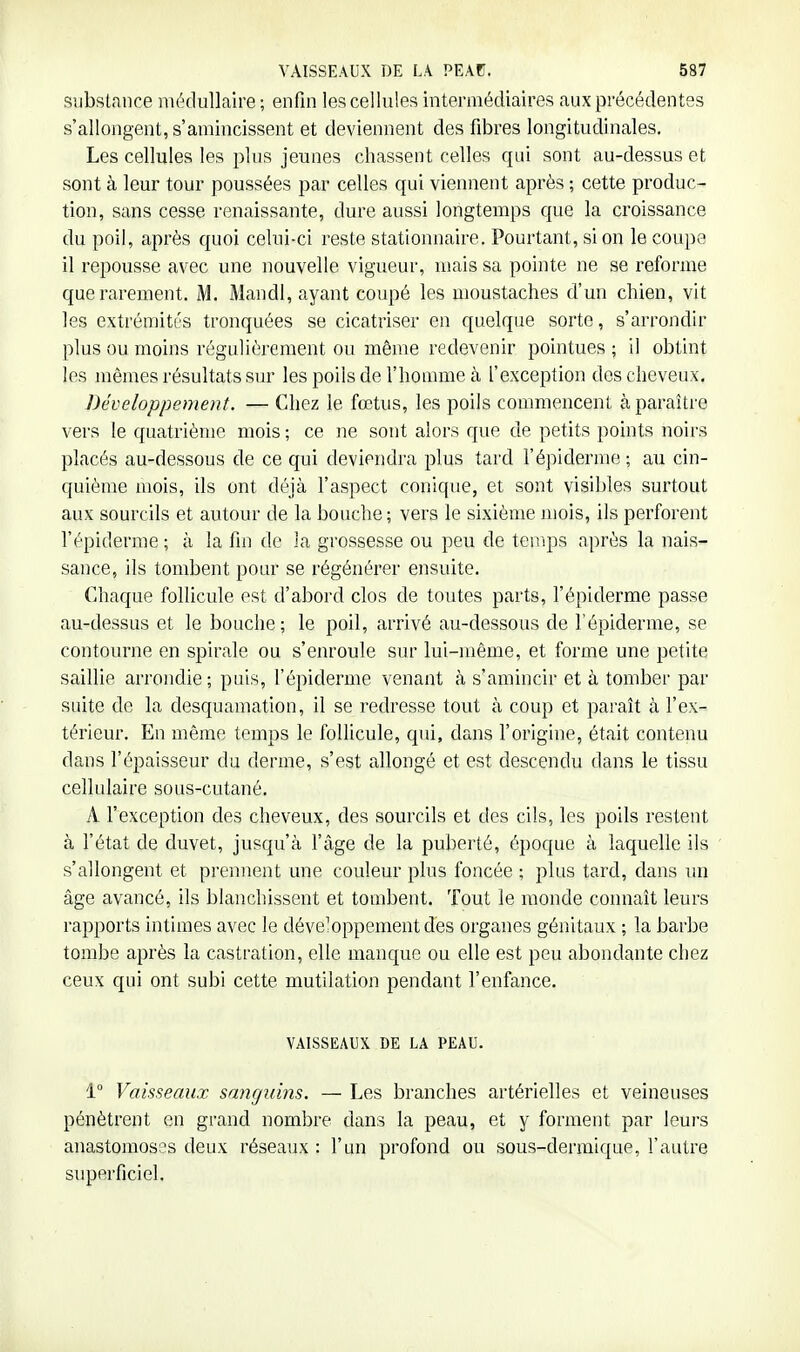 substance médullaire ; enfin les cellules intermédiaires aux précédentes s'allongent, s'amincissent et deviennent des fibres longitudinales. Les cellules les plus jeunes chassent celles qui sont au-dessus et sont à leur tour poussées par celles qui viennent après ; cette produc- tion, sans cesse renaissante, dure aussi longtemps que la croissance du poil, après c{uoi celui-ci reste stationnaire. Pourtant, si on le coupe il repousse avec une nouvelle vigueur, mais sa pointe ne se reforme que rarement. M. MandI, ayant coupé les moustaches d'un chien, vit les extrémités tronquées se cicatriser en quelque sorte, s'arrondir plus ou moins régulièrement ou même redevenir pointues ; il obtint les mêmes résultats sur les poils de l'hoiume cà l'exception des cheveux. Développement. — Chez le fœtus, les poils commencent à paraître vers le quatrième mois ; ce ne sont alors que de petits points noirs placés au-dessous de ce qui deviendra plus tard l'épidémie; au cin- quième mois, ils ont déjà l'aspect conique, et sont visibles surtout aux sourcils et autour de la bouche; vers le sixième mois, ils perforent l'épiderme ; à la fin de la grossesse ou peu de temps après la nais- sance, ils tombent pour se régénérer ensinte. Chaque follicule est d'abord clos de toutes parts, l'épiderme passe au-dessus et le bouche; le poil, arrivé au-dessous de l'épiderme, se contourne en spirale ou s'enroule sur lui-même, et forme une petite saillie arrondie; puis, l'épiderme venant à s'amincir et à tomber par suite de la desquamation, il se redresse tout à coup et paraît à l'ex- térieur. En même temps le folUcule, qui, dans l'origine, était contenu dans l'épaisseur du derme, s'est allongé et est descendu dans le tissu cellulaire sous-cutané. A l'exception des cheveux, des sourcils et des cils, les poils restent à l'état de duvet, jusqu'à fâge de la puberté, époque à laquelle ils s'allongent et prennent une couleur plus foncée ; plus tard, dans un âge avancé, ils blanchissent et tombent. Tout le monde connaît leurs rapports intimes avec le développement des organes génitaux ; la barbe tombe après la castration, elle manque ou elle est peu abondante chez ceux qui ont subi cette mutilation pendant l'enfance. VAISSEAUX DE LA PEAU. 1° Vaisseaux sanguins. — Les branches artérielles et veineuses pénètrent en grand nombre dans la peau, et y forment par leui-s anastomos:''s deux réseaux : l'un profond ou sous-dermique, l'autre superficiel.