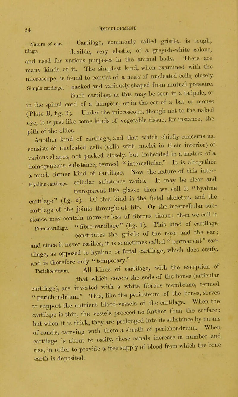 Nature of car- Cartilage, commonly called gristle, is tough, tilage. flexible, very elastic, of a greyish-white colour, and used for various purposes in the animal body. There are many kinds of it. The simplest kind, when examined with the microscope, is found to consist of a mass of nucleated cells, closely Simple cartilage, packed and variously shaped from mutual pressure. Such cartilage as this may be seen in a tadpole, or in the spinal cord of a lampern, or in the ear of a bat or mouse (Plate B, fig. 3). Under the microscope, though not to the naked eye, it is just like some kinds of vegetable tissue, for instance, the pith of the elder. Another kind of cartilage, and that which chiefly concerns us, consists of nucleated cells (cells with nuclei in their interior) of various shapes, not packed closely, but imbedded in a matrix of a homogeneous substance, termed intercellular. It is altogether a much firmer kind of cartilage. Now the nature of this mter- Hyaliae cartilage, cellular substance varies. It may be clear and transparent like glass: then we call it hyalme cartilage (fig. 2). Of this kind is the foetal skeleton, and the cartilage of the joints throughout life. Or the intercellular sub- stance may contain more or less of fibrous tissue : then we call it Fibro-cartilage.  fibro-cartilage (fig. 1). This kind of cartilage constitutes the gristle of the nose and the ear; and since it never ossifies, it is sometimes called permanent cai- tilage, as opposed to hyaline or foetal cartilage, which does ossify, and^is therefore only  temporary. Perichondrium. All kinds of cartilage, with the exception of that which covers the ends of the bones (articular cartilage), are invested with a white fibrous membrane, termed perichondrium. This, like the periosteum of the bones, serves to support the nutrient blood-vessels of the cartilage, men the cartilage is thin, the vessels proceed no further than the surface: but when it is thick, they are prolonged into its substance by means of canals, carrying with them a sheath of perichondrium, ^en cartilage is about to ossify, these canals increase in number and size, in order to provide a free supply of blood from which the bone earth is deposited.
