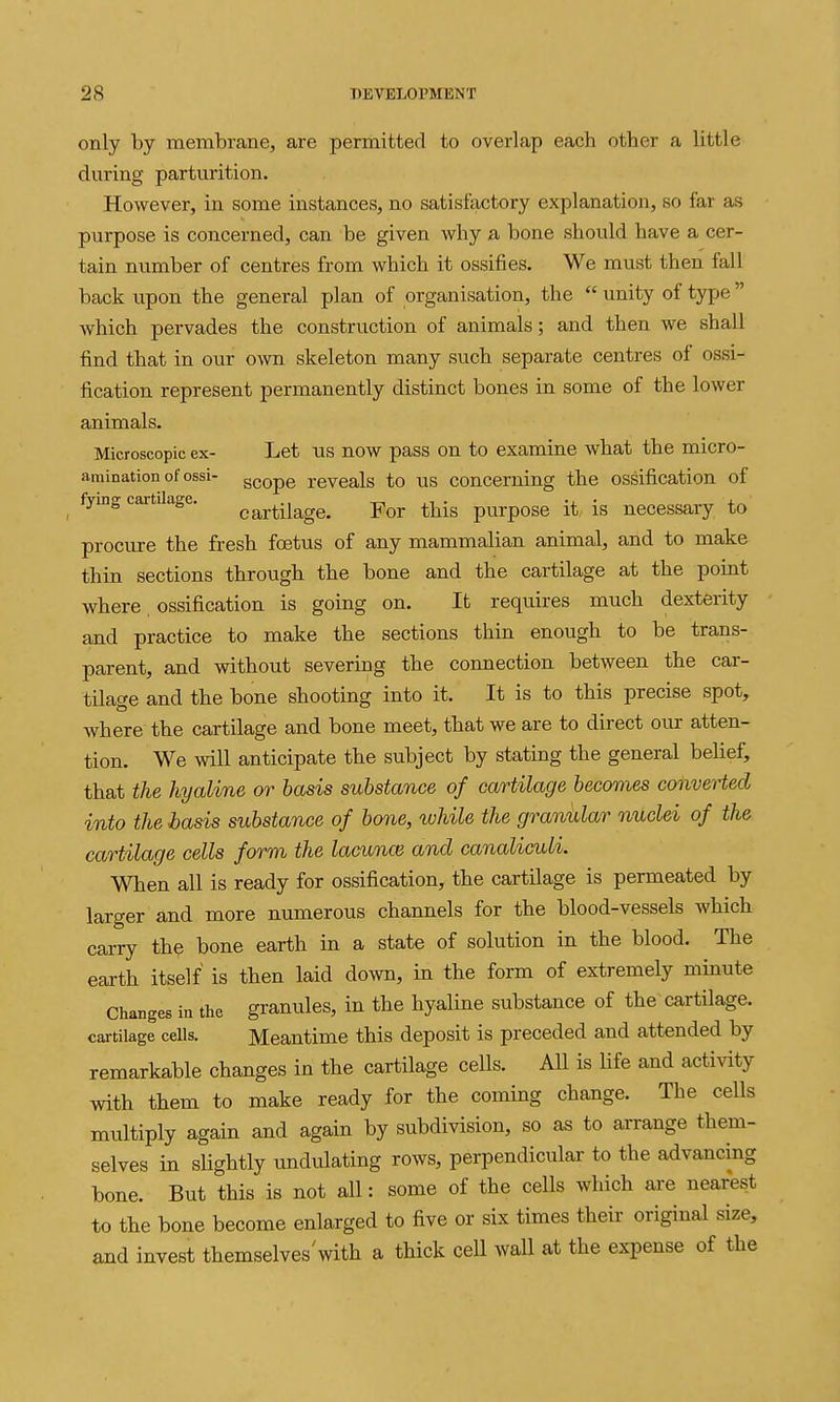 only by membrane, are permitted to overlap each other a little during parturition. However, in some instances, no satisfactory explanation, so far as purpose is concerned, can be given why a bone should have a cer- tain number of centres from which it ossifies. We must then fall back upon the general plan of organisation, the  unity of type which pervades the construction of animals; and then we shall find that in our own skeleton many such separate centres of ossi- fication represent permanently distinct bones in some of the lower animals. Microscopic ex- Let US now pass on to examine what the micro- aminationofossi- ggope reveals to US concerning the ossification of fying cartUage. cQj-iHage. For this purpose it is necessary to procure the fresh foetus of any mammalian animal, and to make thin sections through the bone and the cartilage at the point where ossification is going on. It requires much dexterity and practice to make the sections thin enough to be trans- parent, and without severing the connection between the car- tilage and the bone shooting into it. It is to this precise spot, where the cartilage and bone meet, that we are to direct our atten- tion. We will anticipate the subject by stating the general belief, that the hyaline or basis substance of cartilage becomes conveiied into the hasis substance of bone, while the granklar nuclei of the cartilage cells form the lacunce and canaliculi. When all is ready for ossification, the cartilage is permeated by larger and more numerous channels for the blood-vessels which carry the bone earth in a state of solution in the blood. The earth itself is then laid down, in the form of extremely minute Changes in the granules, in the hyaline substance of the cartilage, cartilage cells. Meantime this deposit is preceded and attended by remarkable changes in the cartilage cells. All is life and activity with them to make ready for the coming change. The cells multiply again and again by subdivision, so as to arrange them- selves in slightly undulating rows, perpendicular to the advancing bone. But this is not all: some of the cells which are nearest to the bone become enlarged to five or six times their original size, and invest themselves'with a thick cell wall at the expense of the