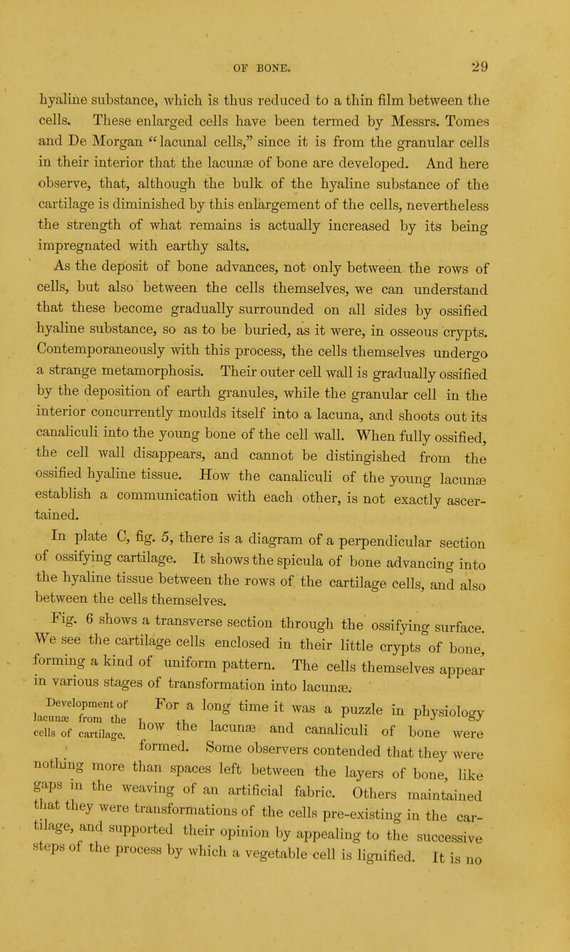 hyaline substance, which is thus reduced to a thin film between the cells. These enlarged cells have been termed by Messrs. Tomes and De Morgan  lacunal cells/' since it is from the granular cells in their interior that the lacunae of bone are developed. And here observe, that, although the bulk of the hyaline substance of the cartilage is diminished by this enlargement of the cells, nevertheless the strength of what remains is actually increased by its being impregnated with earthy salts. As the deposit of bone advances, not only between the rows of cells, but also between the cells themselves, we can imderstand that these become gradually surrounded on all sides by ossified hyaline substance, so as to be buried, as it were, in osseous crypts. Contemporaneously with this process, the cells themselves undergo a strange metamorphosis. Their outer cell wall is gradually ossified by the deposition of earth granules, while the granular cell in the interior concurrently moulds itself into a lacuna, and shoots out its canaliculi into the yoimg bone of the cell wall. When fully ossified, the cell wall disappears, and cannot be distingisbed from the ossified hyaline tissue. How the canaliculi of the young lacimee establish a communication with each other, is not exactly ascer- tained. In plate C, fig. 5, there is a diagram of a perpendicular section of ossifying cartilage. It shows the spicula of bone advancing into the byaHne tissue between the rows of the cartilage cells, and also between the cells themselves. Fig. 6 shows a transverse section through the' ossifying surface. We see the cartilage cells enclosed in their little crypts of bone forming a kind of uniform pattern. The cells themselves appear m various stages of transformation into lacunge. Development of For a long time it was a puzzle in physiology lacuna; from the j.t, i , ^ J''''oJ cells of cartilage. ^^ ^^'^'^^^ canaliculi of bone were formed. Some observers contended that they were nothing more than spaces left between the layers of bone like gaps in the weaving of an artificial fabric. Others maintained that they were transformations of the cells pre-existing in the car- tilage, and supported their opinion by appealing to the successive steps of the process by which a vegetable cell is lignified It . IS no