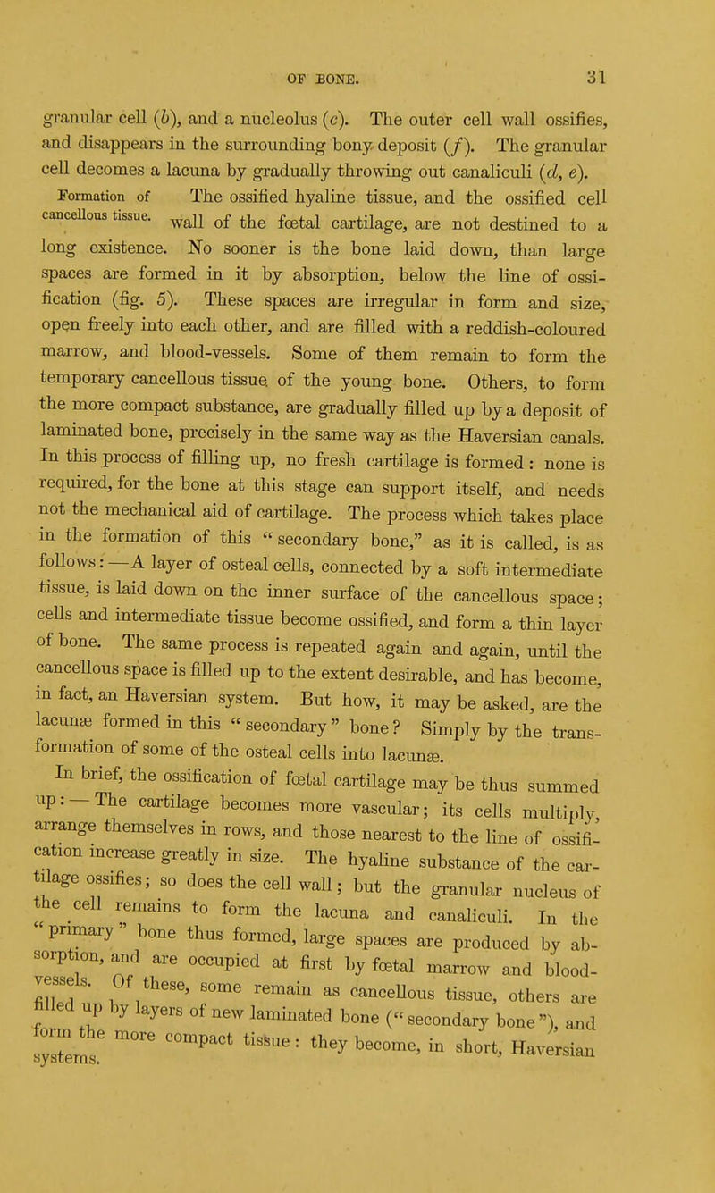 granular cell (b), and a nucleolus (c). The outer cell wall ossifies, and disappears in the surrounding bony deposit (/). The granular cell decomes a lacuna by gradually throwing out canaliculi (d, e). Formation of The ossified hyaline tissue, and the ossified cell cancellous tissue, ^^^jj ^j^^ f^^^j cartilage, are not destined to a long existence. No sooner is the bone laid down, than large spaces are formed in it by absorption, below the line of ossi- fication (fig. 5). These spaces are irregular in form and size, open freely into each other, and are filled with a reddish-coloured marrow, and blood-vessels. Some of them remain to form the temporary cancellous tissue of the young bone. Others, to form the more compact substance, are gradually filled up by a deposit of lammated bone, precisely in the same way as the Haversian canals. In this process of filling up, no fresh cartilage is formed : none is required, for the bone at this stage can support itself, and needs not the mechanical aid of cartilage. The process which takes place in the formation of this  secondary bone, as it is called, is as follows: —A layer of osteal cells, connected by a soft intermediate tissue, is laid down on the inner surface of the cancellous space; ceUs and intermediate tissue become ossified, and form a thin layer of bone. The same process is repeated again and again, until the cancellous space is filled up to the extent desirable, and has become, in fact, an Haversian system. But how, it may be asked, are the lacunae formed in this « secondary  bone ? Simply by the trans- formation of some of the osteal cells into lacimse. In brief, the ossification of foetal cartilage may be thus summed up:-The cartilage becomes more vascular; its cells multiply arrange themselves in rows, and those nearest to the line of ossifi- cation mcrease greatly in size. The hyaline substance of the cai- ilage ossifies; so does the cell wall; but the granular nucletis of the cell remains to form the lacuna and canaliculi. In the pnmary bone thus formed, large spaces are produced by ab- soiptjon, and are occupied at first by fcBtal marrow and blood- vessels. Of these, some remain as canceUous tissue, others are hlled up by layers of new laminated bone (secondary bone), and » ^'^^ - Haversian