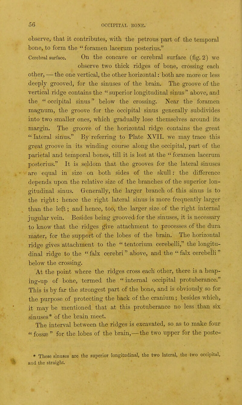 observe, that it contributes, witb the petrous part of the temporal bone, to form the  foramen lacerum posterius. Cerebral surface. On the concave or cerebral surface (fig, 2) we observe two thick ridges of bone, crossing each other, — the one vertical, the other horizontal: both are more or less deeply grooved, for the sinuses of the brain. The groove of the vertical ridge contains the  superior longitudinal sinus  above, and the  occipital sinxis below the crossing. Near the foramen magnum, the groove for the occipital sinus generally subdivides into two smaller ones, which gradually lose themselves around its margin. The groove of the horizontal ridge contains the great  lateral sinus. By referring to Plate XVII. we may trace this great groove in its winding course along the occipital, part of the parietal and temporal bones, till it is lost at the  foramen lacerum posterius. It is seldom that the grooves for the lateral sinuses are equal in size on both sides of the skull: the difference depends upon the relative size of the branches of the superior lon- gitudinal sinus. Grenerally, the larger branch of this sinus is to the right: hence the right lateral sinus is more frequently larger than the le:^;; and hence, too, the larger size of the right internal jugular vein. Besides being grooved for the sinuses, it is necessary to know that the ridges give attachment to processes of the dura mater, for the support of the lobes of the brain. The horizontal ridge gives attachment to the  tentorium cerebelli, the longitu- dinal ridge to the  falx cerebri  above, and the  falx cerebeili  below the crossing. At the point where the ridges cross each other, there is a heap- ing-up of bone, termed the internal occipital protuberance. This is by far the strongest part of the bone, and is obviously so for the purpose of protecting the back of the cranium; besides which, it may be mentioned that at this protuberance no less than six sinuses* of the brain meet. The interval between the ridges is excavated, so as to make four  fossffi  for the lobes of the brain,—the two upper for the poste- * These sinuses are the superior longitudinal, the two lateral, the two occipital, and the straight.
