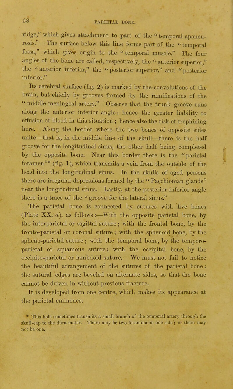58 ridge, which gives attachment to part of the temporal aponeu- rosis. The surface below this line forms part of the  temporal fossa/' which gives origin to the temporal muscle. The four angles of the bone are called, respectively, the  anterior superior, the anterior inferior, the posterior superior, and posterior inferior. Its cerebral surface (fig. 2) is marked by the convolutions of the brain, but chiefly by grooves formed by the ramifications of the  middle meningeal artery. Observe that the trimk groove runs along the anterior inferior angle: hence the greater liability to effusion of blood in this situation ; hence also the risk of trephining here. Along the border where the two bones of opposite sides unite—that is, in the middle line of the skull—there is the half groove for the longitudinal sinus, the other half being completed by the opposite bone. Near this border there is the parietal foramen* (fig. 1), which transmits a vein from the outside of the head into the longitudinal sinus. In the skulls of aged persons there are irregular depressions formed by the Pacchionian glands near the longitudinal sinus. Lastly, at the posterior inferior angle there is a trace of the  groove for the lateral sinus. The parietal bone is connected by sutures with five bones (Plate XX. a), as follows:—^With the opposite parietal bone, by the interparietal or sagittal suture; with the frontal bone, by the fronto-parietal or coronal suture; with the sphenoid bone, by the spheno-parietal suture; with the temporal bone, by the temporo- parietal or squamous suture; with the occipital bone, by the occipito-parietal Or lambdoid suture. We must not fail to notice the beautiful arrangement of the sutures of the parietal bone: the sutural edges are beveled on alternate sides, so that the bone cannot be driven in without previous fracture. It is developed from one centre, which makes its appearance at the parietal eminence. * This hole sometimes transmits a small branch of the temporal ai'tery through tlie skull-cap to the dura mater. There may be two foramina on one side'; or there may not be one.