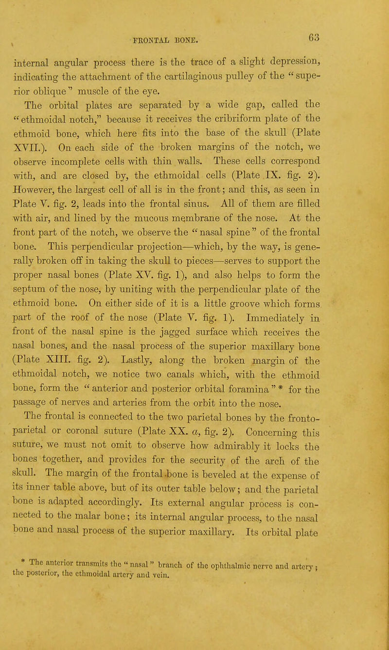 internal angular process there is the trace of a slight depression, indicating the attachment of the cartilaginous pulley of the  supe- rior obliquemuscle of the eye. The orbital plates are separated by a wide gap, called the  ethmoidal notch, because it receives the cribriform plate of the ethmoid bone, which here fits into the base of the skull (Plate XVII.). On each side of the broken margins of the notch, we observe incomplete cells with thin walls. These cells correspond with, and are closed by, the ethmoidal cells (Plate IX. fig. 2). However, the largest cell of all is in the front; and this, as seen in Plate V. fig. 2, leads into the frontal sinus. All of them are filled with air, and lined by the mucous membrane of the nose. At the front part of the notch, we observe the  nasal spine  of the frontal bone. This perpendicular projection—which, by the way, is gene- rally broken off in taking the skull to pieces—serves to support the proper nasal bones (Plate XV. fig. 1), and also helps to form the septum of the nose, by uniting with the perpendicular plate of the ethmoid bone. On either side of it is a little groove which forms part of the roof of the nose (Plate V. fig. 1). Immediately in front of the nasal spine is the jagged surface which receives the nasal bones, and the nasal process of the superior maxillary bone (Plate XIII. fig. 2). Lastly, along the broken margin of the ethmoidal notch, we notice two canals which, with the ethmoid bone, form the  anterior and posterior orbital foramina  * for the passage of nerves and arteries from the orbit into the nose. The frontal is connected to the two parietal bones by the fronto- parietal or coronal suture (Plate XX. a, fig. 2). Concerning this suture, we must not omit to observe how admirably it locks the bones together, and provides for the security of the arch of the skull. The margin of the frontal-bone is beveled at the expense of its inner table above, but of its outer table below; and the parietal bone is adapted accordingly. Its external angular process is con- nected to the malar bone; its internal angular process, to the nasal bone and nasal process of the superior maxillary. Its orbital plate * The anterior transmits the  nasal  branch of the opluhalmic nerve and artery; the posterior, the ethmoidal artery and vein.