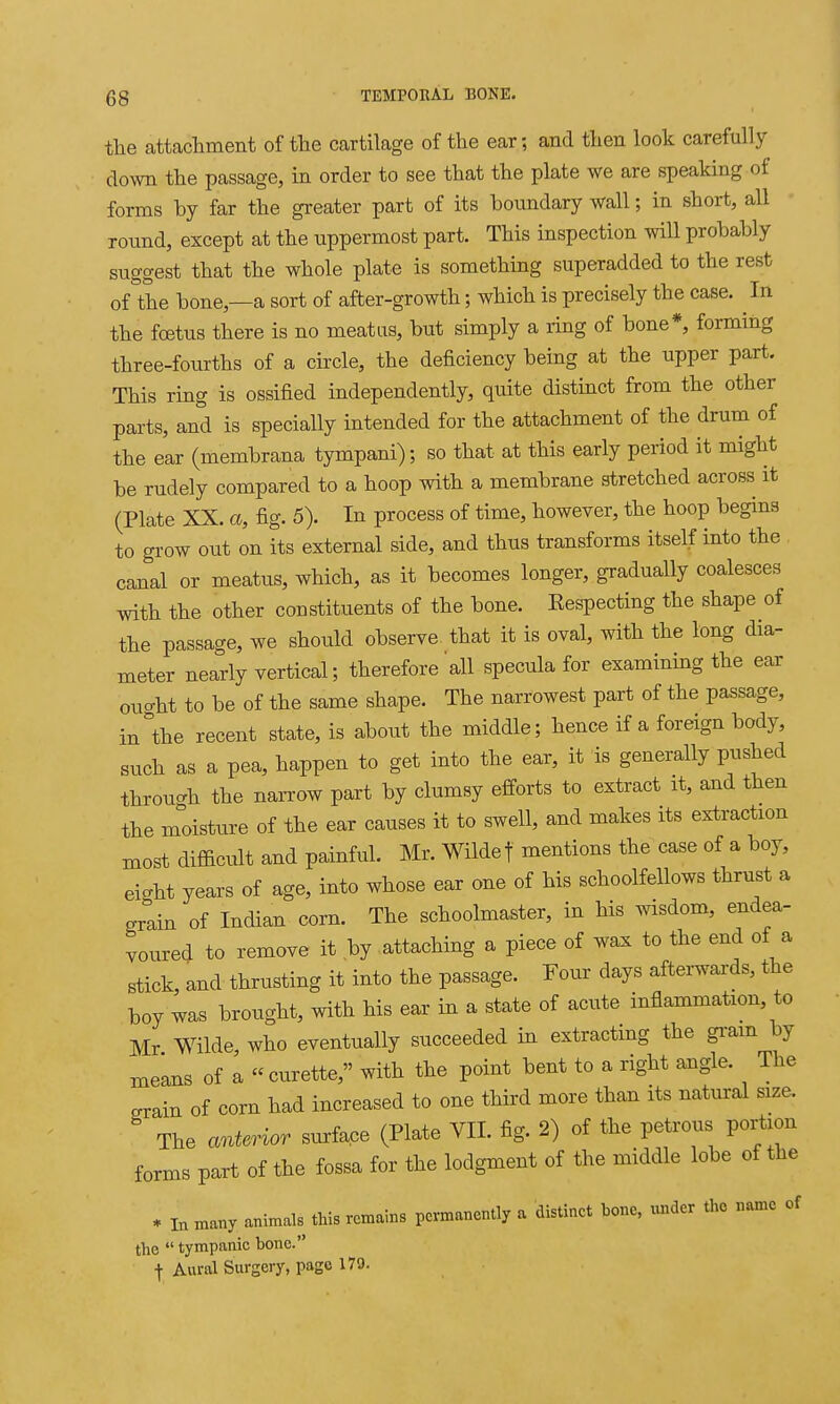 the attachment of the cartilage of the ear; and then look carefully down the passage, in order to see that the plate we are speaking of forms by far the greater part of its boundary wall; in short, all round, except at the uppermost part. This inspection will probably suggest that the whole plate is something superadded to the rest of°the bone,—a sort of after-growth; which is precisely the case. In the foetus there is no meatus, but simply a ring of bone*, forming three-fourths of a circle, the deficiency being at the upper part. This ring is ossified independently, quite distinct from the other parts, and is specially intended for the attachment of the drum of the ear (membrana tympani); so that at this early period it might be rudely compared to a hoop with a membrane stretched across it (Plate XX. a, fig. 5). In process of time, however, the hoop begins to grow out on its external side, and thus transforms itself into the canal or meatus, which, as it becomes longer, gradually coalesces with the other constituents of the bone. Eespecting the shape of the passage, we should observe that it is oval, with the long dia- meter nearly vertical; therefore all specula for examining the ear ouo-ht to be of the same shape. The narrowest part of the passage, in°the recent state, is about the middle; hence if a foreign body, such as a pea, happen to get into the ear, it is generally pushed throu-h the nai-row part by clumsy efforts to extract it, and then the moisture of the ear causes it to swell, and makes its extraction most difficult and painful. Mr. Wilde f mentions the case of a boy, eight years of age, into whose ear one of his schoolfellows thrust a grain of Indian corn. The schoolmaster, in his wisdom, endea- voured to remove it by attaching a piece of wax to the end of a stick, and thrusting it into the passage. Four days afterwards, the boy was brought, with his ear in a state of acute inflammation, to Mr Wilde, who eventually succeeded in extracting the gi-am by means of a curette, with the point bent to a right angle. The .rain of corn had increased to one third more than its natural size. The anterior surface (Plate VII. fig. 2) of the petrous portion forms part of the fossa for the lodgment of the middle lobe of the * In many animals this remains permanently a distinct bone, ^mder the name of the  tympanic bone. f Aural Surgery, page 179.