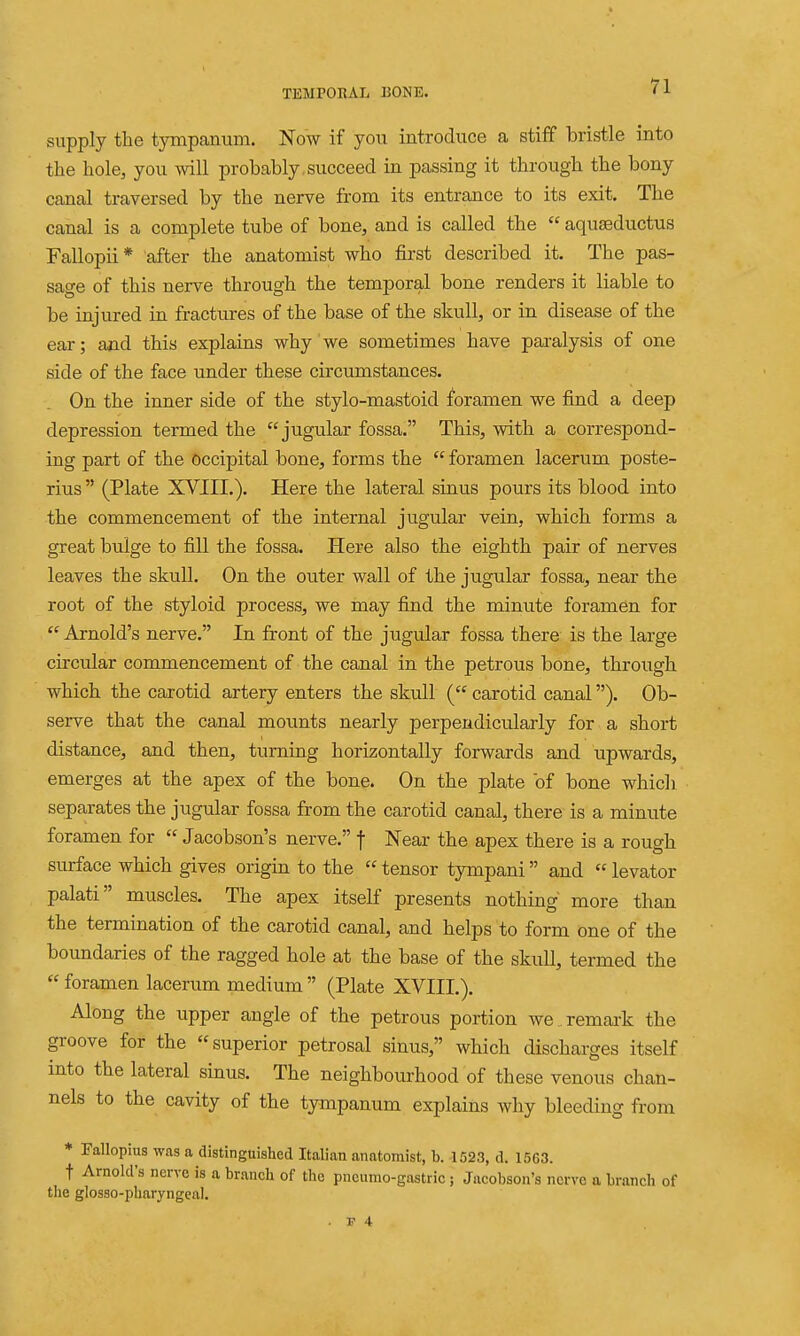 supply the tympanum. Now if you introduce a stiff bristle into the hole, you will probably succeed in passing it through the bony canal traversed by the nerve from its entrance to its exit. The canal is a complete tube of bone, and is called the  aquseductus Fallopii * after the anatomist who first described it. The pas- sage of this nerve through the temporal bone renders it liable to be injured in fractures of the base of the skull, or in disease of the ear; and this explains why we sometimes have paralysis of one side of the face under these circumstances. On the inner side of the stylo-mastoid foramen we find a deep depression termed the jugular fossa. This, with a correspond- ing part of the occipital bone, forms the  foramen lacerum poste- rius (Plate XVIII.). Here the lateral sinus pours its blood into the commencement of the internal jugular vein, which forms a great bulge to fill the fossa. Here also the eighth pair of nerves leaves the skull. On the outer wall of the jugular fossa, near the root of the styloid process, we may find the minute foramen for  Arnold's nerve. In front of the jugular fossa there is the large circular commencement of the canal in the petrous bone, through which the carotid artery enters the skull ( carotid canal). Ob- sei-ve that the canal mounts nearly perpendicularly for a short distance, and then, turning horizontally forwards and upwards, emerges at the apex of the bone. On the plate of bone which separates the jugular fossa from the carotid canal, there is a minute foramen for  Jacobson's nerve. f Near the apex there is a rough surface which gives origin to the  tensor tympani and  levator palati muscles. The apex itself presents nothing more than the termination of the carotid canal, and helps to form one of the boundaries of the ragged hole at the base of the skull, termed the  foramen lacerum medium  (Plate XVIIL). Along the upper angle of the petrous portion we . remark the groove for the superior petrosal sinus, which discharges itself into the lateral sinus. The neighbourhood of these venous chan- nels to the cavity of the tympanum explains why bleeding from * Pallopius was a distinguished Italian anatomist, b. 1523, d. 1563. t Arnold's nerve is a branch of the pneumo-gastric; Jacobson's nerve a branch of the glosso-pharyngeal. . ]? 4