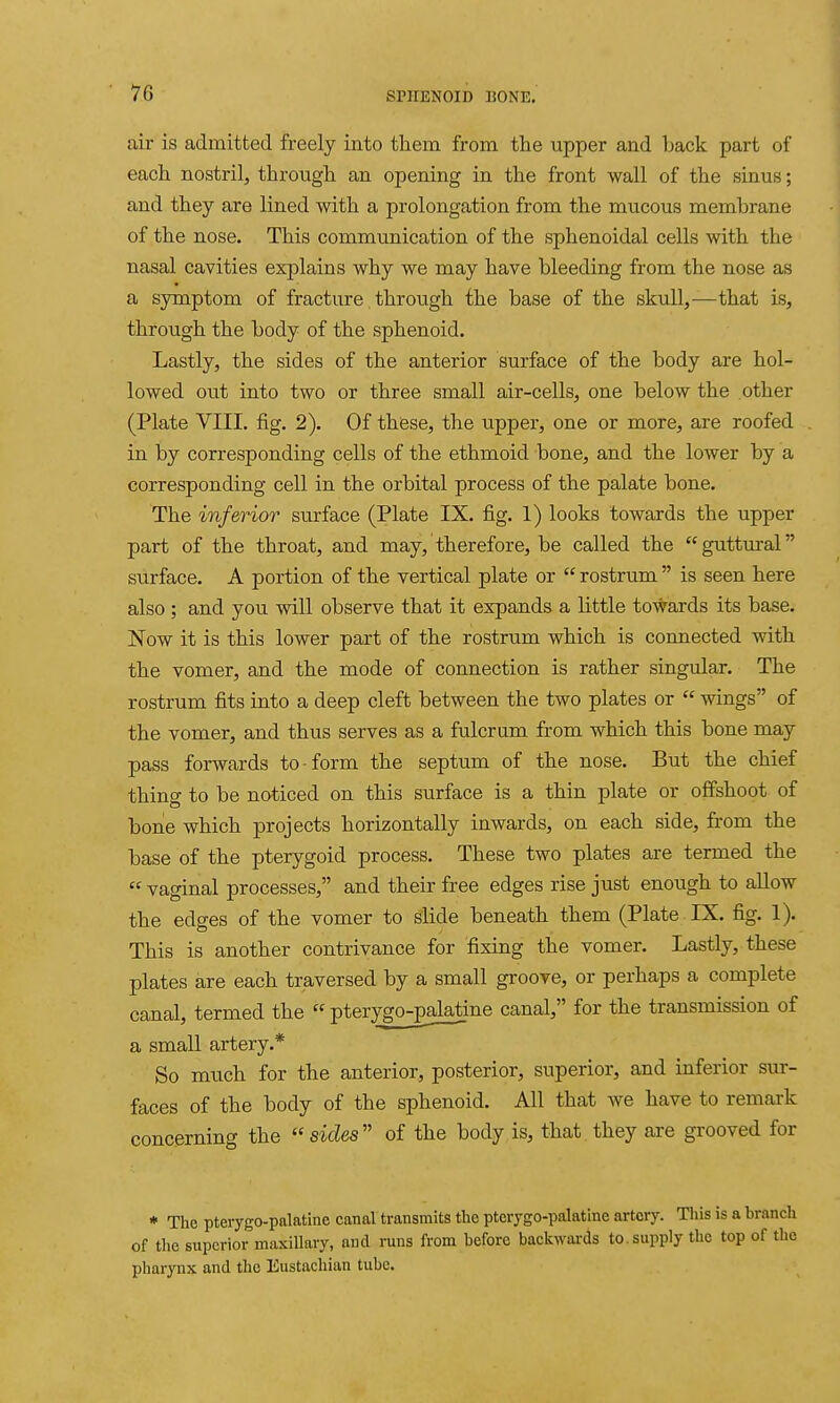 air is admitted freely into them from the upper and back part of each nostril, through an opening in the front wall of the sinus; and they are lined with a prolongation from the mucous membrane of the nose. This communication of the sphenoidal cells with the nasal cavities explains why we may have bleeding from the nose as a symptom of fracture through the base of the skull,—that is, through the body of the sphenoid. Lastly, the sides of the anterior surface of the body are hol- lowed out into two or three small air-cells, one below the other (Plate VIII. fig. 2). Of these, the upper, one or more, are roofed in by corresponding cells of the ethmoid bone, and the lower by a corresponding cell in the orbital process of the palate bone. The inferior surface (Plate IX. fig. 1) looks towards the upper part of the throat, and may, therefore, be called the guttm-al surface. A portion of the vertical plate or  rostrum  is seen here also ; and you will observe that it expands a little towards its base. Jfow it is this lower part of the rostrum which is connected with the vomer, and the mode of connection is rather singular. The rostrum fits into a deep cleft between the two plates or  wings of the vomer, and thus serves as a fulcrum from which this bone may pass forwards to-form the septum of the nose. But the chief thing to be noticed on this surface is a thin plate or offshoot of bone which projects horizontally inwards, on each side, from the base of the pterygoid process. These two plates are termed the  vaginal processes, and their free edges rise just enough to allow the edges of the vomer to slide beneath them (Plate IX. fig. 1). This is another contrivance for fixing the vomer. Lastly, these plates are each traversed by a small groove, or perhaps a complete canal, termed the  pterygo-palatine canal, for the transmission of a small artery.* So much for the anterior, posterior, superior, and inferior sur- faces of the body of the sphenoid. All that we have to remark concerning the sides'' of the body is, that they are grooved for * The pterygo-palatine canal transmits the pterygo-palatine artery. This is a br of the superior maxillary, and runs from before backwards to. supply the top ol pharynx and the Eustachian tube.