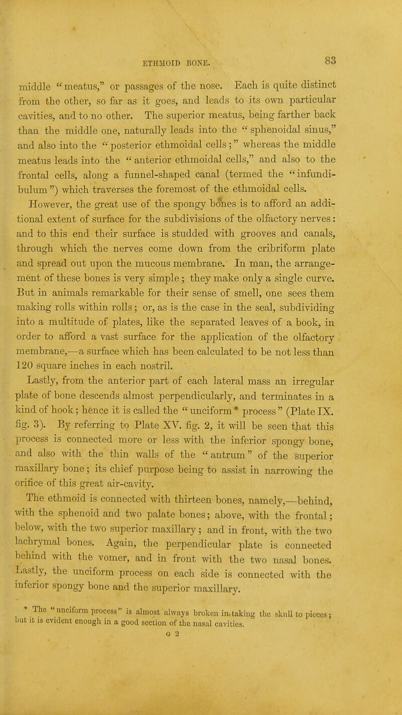 middle  meatus, or passages of the nose. Each is quite distinct from the other, so far as it goes, and leads to its own particular cavities, and to no other. The superior meatus, being farther back than the middle one, naturally leads into the  sphenoidal sinus, and also into the  posterior ethmoidal cells ; whereas the middle meatus leads into the  anterior ethmoidal cells, and also to the frontal cells, along a funnel-shaped canal (termed the infundi- bulum ) which traverses the foremost of the ethmoidal cells. However, the great use of the spongy bones is to afford an addi- tional extent of surface for the subdivisions of the olfactory nerves: and to this end their sm-face is studded with grooves s\,nd canals, through which the nerves come down from the cribriform plate and spread out upon the mucous membrane. In man, the arrange- mfent of these bones is very simple; they make only a single curve. But in animals remarkable for their sense of smell, one sees them making rolls within rolls; or, as is the case in the seal, subdividing into a multitude of plates, like the separated leaves of a book, in order to afford a vast surface for the application of the olfactory membrane,—a surface which has been calculated to be not less than 120 square inches in each nostril. Lastly, from the anterior part of each lateral mass an irregular plate of bone descends almost perpendicularly, and terminates in a kind of hook; hence it is called the  unciform * process  (Plate IX. fig. 3). By referring to Plate XV. fig. 2, it will be seen tjiat this process is connected more or less with the inferior spongy bone, and also with the thin walls of the antrum of the superior maxillary bone; its chief purpose being to assist in narrowing the orifice of this great air-cavity. The ethmoid is connected with thirteen bones, namely,—behind, mth the sphenoid and two palate bones; above, with the frontal; below, with the two superior maxillary; and in front, with 'the two lachrymal bones. Again, the perpendicular plate is connected behind with the vomer, and in front with the two nasal bones. Lastly, the unciform process on each side is connected with the inferior spongy bone and the superior maxillary. ' The unciform process is almost always broken in,taking the skull to pieces; but It IS evident enough in a good section of the nasal cavities.