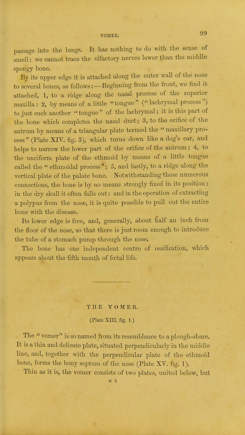 passage into the lungs. It has nothing to do with the sense of smell: we cannot trace the olfactory nerves lower than the middle spongy bone. By its upper edge it is attached along the outer wall of the nose to several bones, as follows:—Beginning from the front, we find it attached, 1, to a ridge along the nasal process of the superior maxilla: 2, by means of a little tongue (lachrymal process) to just such another tongue of the lachrymal; it is this part of the bone which completes the nasal duct; 3, to the orifice of the antrum by means of a triangular plate termed the maxillary pro- cess  (Pl^te XIV. fig. 3), which turns down Hke a dog's ear, and helps to narrow the lower part of the orifice of the antrum ; 4, to the unciform plate of the ethmoid by means of a little tongue called the  ethmoidal process ; 5, and lastly, to a ridge along the vertical plate of the palate bone. Notwithstanding these numerous connections, the bone is by no means strongly fixed in its position: in the dry skull it often faUs out: and in the operation of extracting a polypus from the nose, it is quite possible to pull out the entire bone with the disease. Its lower edge is free, and, generally, about half an inch from the floor of the nose, so that there is just room enough to introduce the tube of a stomach pump through the nose. The bone has one independent centre of ossification, which appears about the fifth month of foetal life. THE V O M E K. (Plate Xm. fig. 1.) The vomer is so named from its resemblance to a plough-share. It is a thin and delicate plate, situated perpendicularly in the middle line, and, together with the perpendicular plate of the ethmoid bone, forms the bony septum of the nose (Plate XV. fig. 1). Thin as it is, the vomer consists of two plates, united below, but II 2