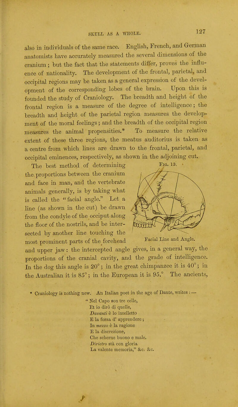 also in individuals of the same race. English, French, and aeratian anatomists have accurately measured the several dimensions of the cranium; but the fact that the statements differ, proves the influ- ence of nationality. The development of the frontal, parietal, and occipital regions may be taken as a general expression of the devel- opment of the corresponding lobes of the brain. Upon this is founded the study of Craniology. The breadth and height of the frontal region is a measure of the degree of intelligence; the breadth and height of the parietal region measures the develop- ment of the moral feelings ; and the breadth of the occipital region measures the animal propensities.* To measure the relative extent of these three regions, the meatus auditorius is taken as a centre from which lines are drawn to the frontal, parietal, and occipital eminences, respectively, as shown in the adjoining cut. The best method of determining the proportions between the cranium and face in man, and the vertebrate animals generally, is by taking what is called the facial angle. Let a line (as shown in the cut) be drawn from the condyle of the occiput along the floor of the nostrils, and be inter- sected by another line touching the most prominent parts of the^ forehead ^racial Line and Angle, and upper jaw: the intercepted angle gives, in a general way, the proportions of the cranial cavity, and the grade of intelligence. In the dog this angle is 20°; in the great chimpanzee it is 40°; in the Australian it is 85°; in the European it is 95.° The ancients, Craniology is notliing new. An Italian poet in the age of Dante, writes ;  Nel Capo son tre celle, Et io dird di quelle, Davanti e lo intelletto E la forza d' apprendere; In mezzo e la ragione E la discrezione, Che sclierne buono e male. Dirietro sta con gloria La valente menioria, &c. &c