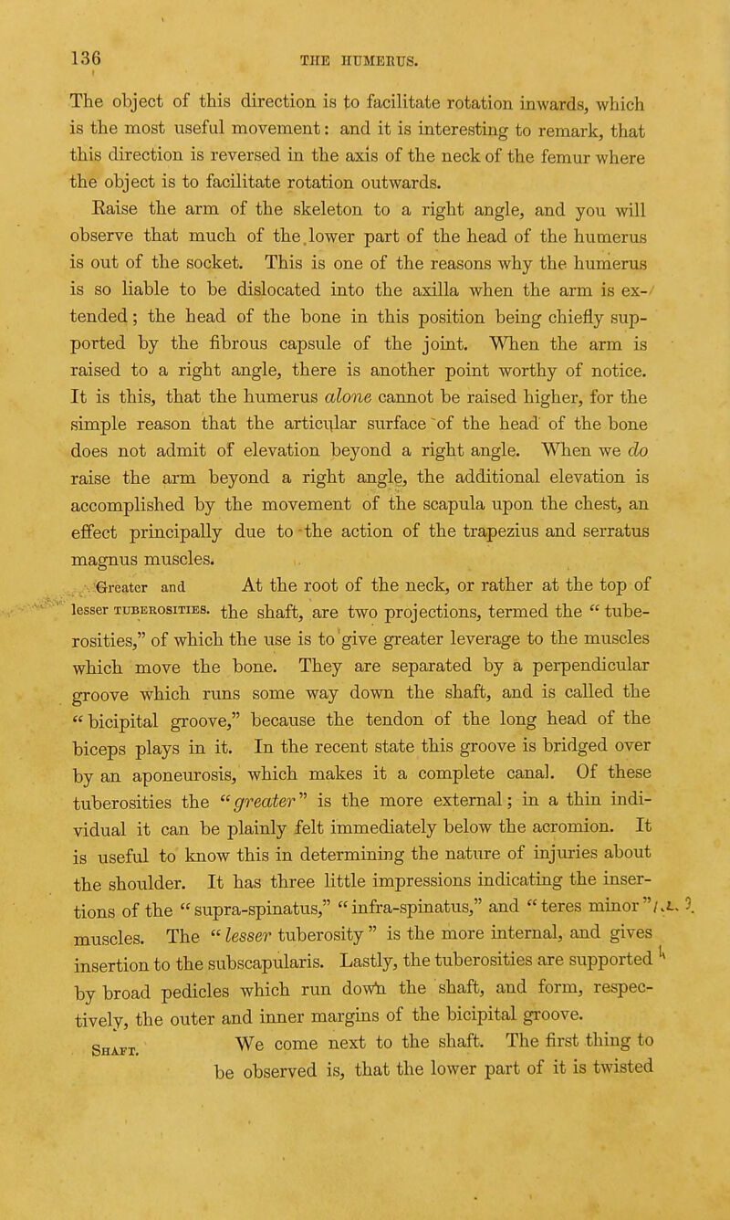 I The object of this direction is to facilitate rotation inwards, which is the most useful movement: and it is interesting to remark, that this direction is reversed in the axis of the neck of the femm: where the object is to facilitate rotation outwards. Eaise the arm of the skeleton to a right angle, and you will observe that much of the.lower part of the head of the humerus is out of the socket. This is one of the reasons why the humerus is so liable to be dislocated into the axilla when the arm is ex- tended ; the head of the bone in this position being chiefly sup- ported by the fibrous capsvile of the joint. When the arm is raised to a right angle, there is another point worthy of notice. It is this, that the humerus alone cannot be raised higher, for the simple reason that the articidar surface ~of the head of the bone does not admit of elevation beyond a right angle. When we do raise the arm beyond a right angle, the additional elevation is accomplished by the movement of the scapula upon the chest, an effect principally due to the action of the trapezius and serratus magnus muscles. . Greater and At the root of the neck, or rather at the top of lesser tuberosities, the shaft, are two projections, termed the  tube- rosities, of which the use is to 'give greater leverage to the muscles which move the bone. They are separated by a perpendicular groove which runs some way down the shaft, and is called the  bicipital groove, because the tendon of the long head of the biceps plays in it. In the recent state this groove is bridged over by an aponeurosis, which makes it a complete canal. Of these tuberosities the greater is the more external; in a thin indi- vidual it can be plainly felt immediately below the acromion. It is useful to know this in determining the nature of injuries about the shoulder. It has three little impressions indicating the inser- tions of the supra-spinatus, infra-spinatus, and teres minor/ muscles. The  lesser tuberosity  is the more internal, and gives insertion to the subscapularis. Lastly, the tuberosities are supported by broad pedicles which run dowla the shaft, and form, respec- tively, the outer and inner margins of the bicipital groove. Shaft. We come next to the shaft. The first thing to be observed is, that the lower part of it is twisted