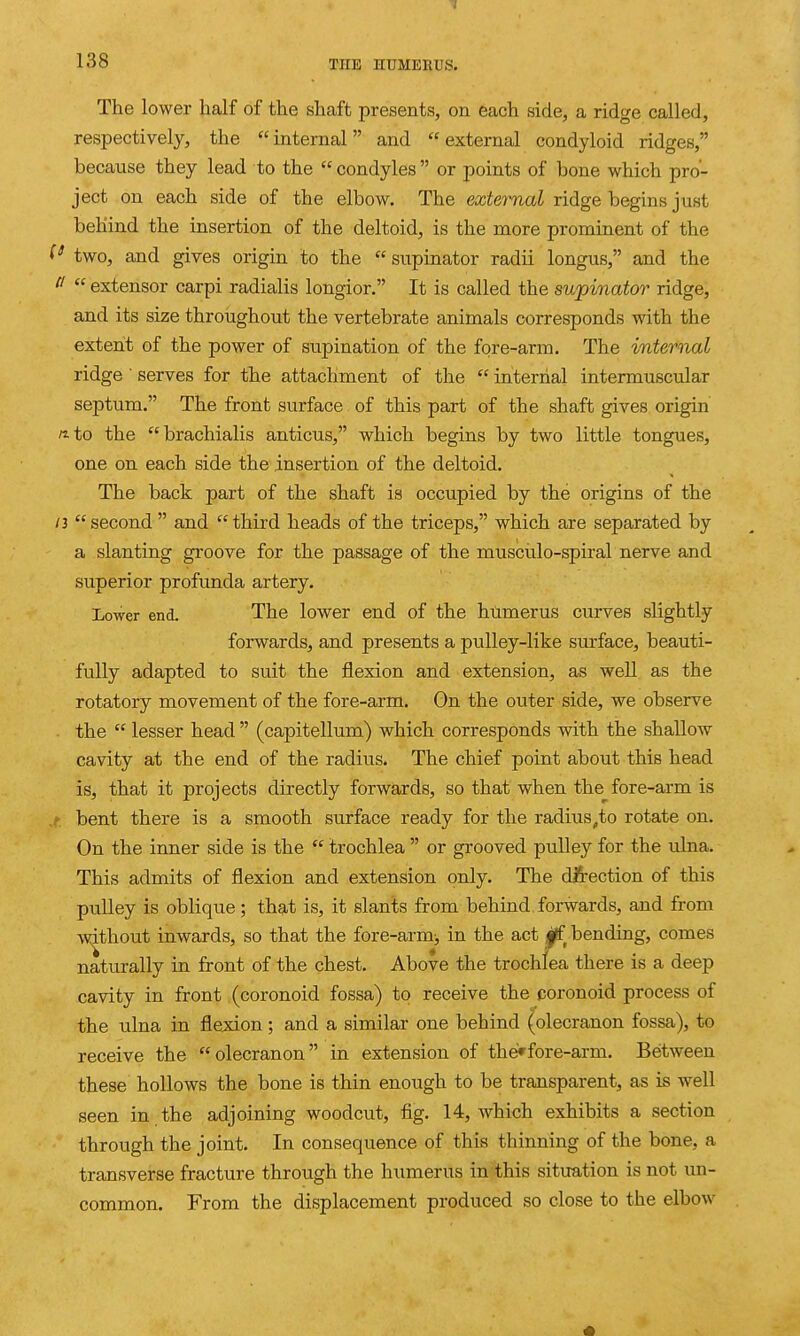 The lower half of the shaft presents, on each side, a ridge called, respectively, the internal and external condyloid ridges, because they lead to the  condyles  or points of bone which pro- ject on each side of the elbow. The external ridge begins just behind the insertion of the deltoid, is the more prominent of the two, and gives origin to the  supinator radii longus, and the   extensor carpi radialis longior. It is called the supinator ridge, and its size throughout the vertebrate animals corresponds with the extent of the power of supination of the fore-arm. The internal ridge' serves for the attachment of the  internal intermuscular septum. The front surface of this part of the shaft gives origin rt-to the brachialis anticus, which begins by two little tongues, one on each side the insertion of the deltoid. The back part of the shaft is occupied by the origins of the /3 second  and third heads of the triceps, which are separated by a slanting groove for the passage of the musciilo-spiral nerve and superior profunda artery. Lower end. The lower end of the hilmerus curves slightly forwards, and presents a pulley-like surface, beauti- fully adapted to suit the flexion and extension, as well as the rotatory movement of the fore-arm. Gn the outer side, we observe the  lesser head  (capitellum) which corresponds with the shallow cavity at the end of the radius. The chief point about this head is, that it projects directly forwards, so that when the fore-arm is ,f bent there is a smooth surface ready for tlie radius^to rotate on. On the inner side is the  trochlea  or grooved pulley for the ulna. This admits of flexion and extension only. The dj5fection of this pulley is oblique; that is, it slants from behind, forwards, and from without inwards, so that the fore-arm^ in the act ilf bending, comes naturally in front of the chest. Above the trochlea there is a deep cavity in front (coronoid fossa) to receive the coronoid process of the ulna in flejdon; and a similar one behind (olecranon fossa), to receive the olecranon in extension of thes*fore-arm. Between these hollows the bone is thin enough to be transparent, as is well seen in the adjoining woodcut, fig. 14, which exhibits a section through the joint. In consequence of this thinning of the bone, a transverse fracture through the humerus in this situation is not un- common. From the displacement produced so close to the elbow