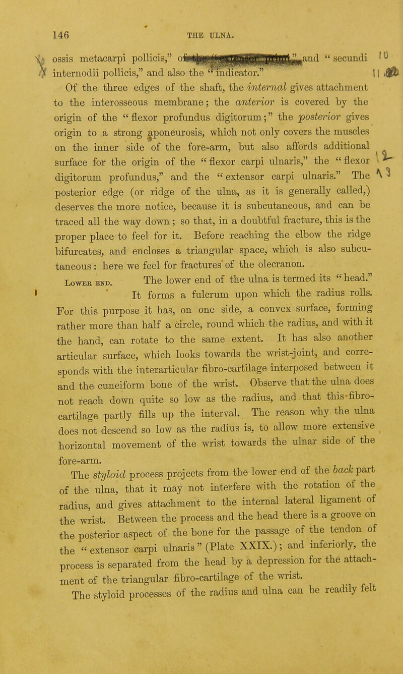 ossis metacarpi pollicis, '^^'■MIHHIHHH  secuudi ' ^ internodii pollicis, and also the mdicator. 11 i{ Of the three edges of the shaft, the internal gives attachment to the interosseous membrane; the anterior is covered by the origin of the  flexor profundus digitorum; the postenor gives origin to a strong aponeurosis, which not only covers the muscles on the inner side of the fore-arm, but also affords additional surface for the origin of the  flexor carpi ulnaris, the  flexor > * digitorum profundus, and the  extensor carpi ulnaris. The ^ posterior edge (or ridge of the ulna, as it is generally called,) deserves the more notice, because it is subcutaneous, and can be traced all the way down ; so that, in a doubtful fracture, this is the proper place to feel for it. Before reaching the elbow the ridge bifurcates, and encloses a triangular space, which is also subcu- taneous : here we feel for fractures' of the olecranon. Lower end. The lower end of the ukia is termed its head. It forms a fulcrum upon which the radius rolls. For this purpose it has, on one side, a convex surface, forming rather more than half a circle, round which the radius, and with it the hand, can rotate to the same extent. It has also another articular surface, which looks towards the wrist-joint, and corre- sponds with the interarticular fibro-cartilage interposed between it and the cuneiform bone of the wrist. Observe that the uhia does not reach down quite so low as the radius, and that this-fibro- cartilage partly fills up the interval. The reason why the uhia does not descend so low as the radius is, to allow more extensive ^ horizontal movement of the wrist towards the ulnar side of the fore-arm. The styloid process projects from the lower end of the 6ac^-part of the ulna, that it may not interfere with the rotation of the radius, and gives attachment to the internal lateral ligament of the wrist. Between the process and the head there is a groove on the posterior aspect of the bone for the passage of the tendon of the extensor carpi ulnaris (Plate XXIX.); aiid inferiorly, the process is separated from the head by a depression for the attach- ment of the triangular fibro-cartilage of the wrist. The styloid processes of the radius and ulna caji be readily felt