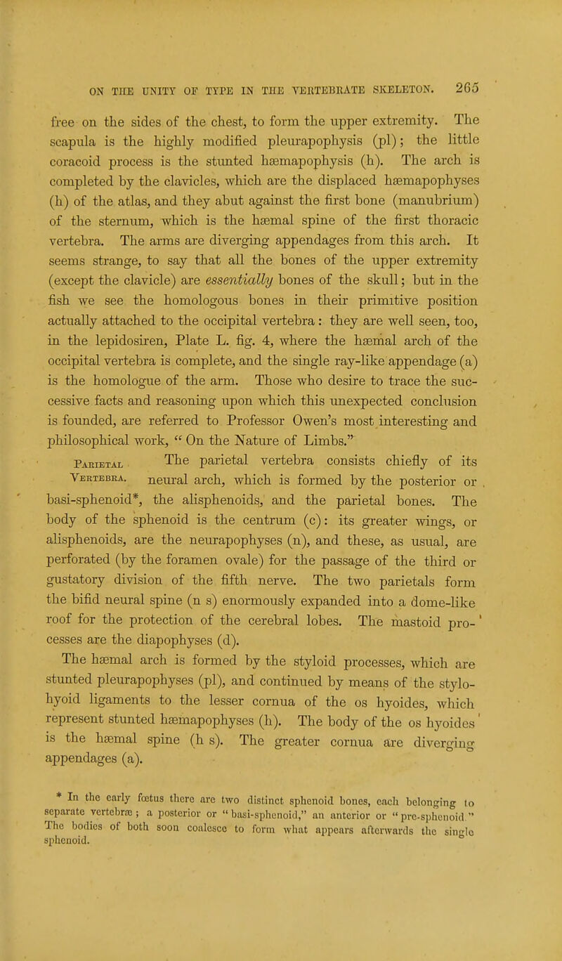 free on the sides of the chest, to form the upper extremity. The scapula is the highly modified pleurapophysis (pi); the little coracoid process is the stimted hsemapophysis (h). The arch is completed by the clavicles, which are the displaced hsemapophyses (h) of the atlas, and they abut against the first bone (manubrium) of the sternum, which is the haemal spine of the first thoracic vertebra. The arms are diverging appendages from this arch. It seems strange, to say that all the bones of the upper extremity (except the clavicle) are essentially bones of the skull; but in the fish we see the homologous bones in their primitive position actually attached to the occipital vertebra: they are well seen, too, in the lepidosiren, Plate L. fig. 4, where the haemal arch of the occipital vertebra is complete, and the single ray-like appendage (a) is the homologue of the arm. Those who desire to trace the suc- cessive facts and reasoning upon which this unexpected conclusion is founded, are referred to Professor Owen's most interesting and philosophical work,  On the Nature of Limbs. Parietal The parietal vertebra consists chiefly of its Vertebra. neural arch, which is formed by the posterior or , basi-sphenoid*, the alisphenoids, and the parietal bones. The body of the sphenoid is the centrum (c): its greater wings, or alisphenoids, are the neurapophyses (n), and these, as usual, are perforated (by the foramen ovale) for the passage of the third or gustatory division of the fifth nerve. The two parietals form the bifid neural spine (n s) enormously expanded into a dome-like roof for the protection of the cerebral lobes. The mastoid pro-' cesses are the diapophyses (d). The haemal arch is formed by the styloid processes, which are stunted pleurapophyses (pi), and continued by means of the stylo- hyoid ligaments to the lesser cornua of the os hyoides, which represent stunted haemapophyses (h). The body of the os hyoides' is the haemal spine (h s). The greater cornua are diverging appendages (a). * In the early foetus there are two distinct sphenoid bones, each belonging lo separate vertebra;; a posterior or basi-sphenoid, an anterior or pre-sphenoid. The bodies of both soon coalcseo to form what appears afterwards the sin-^lc sphenoid. 