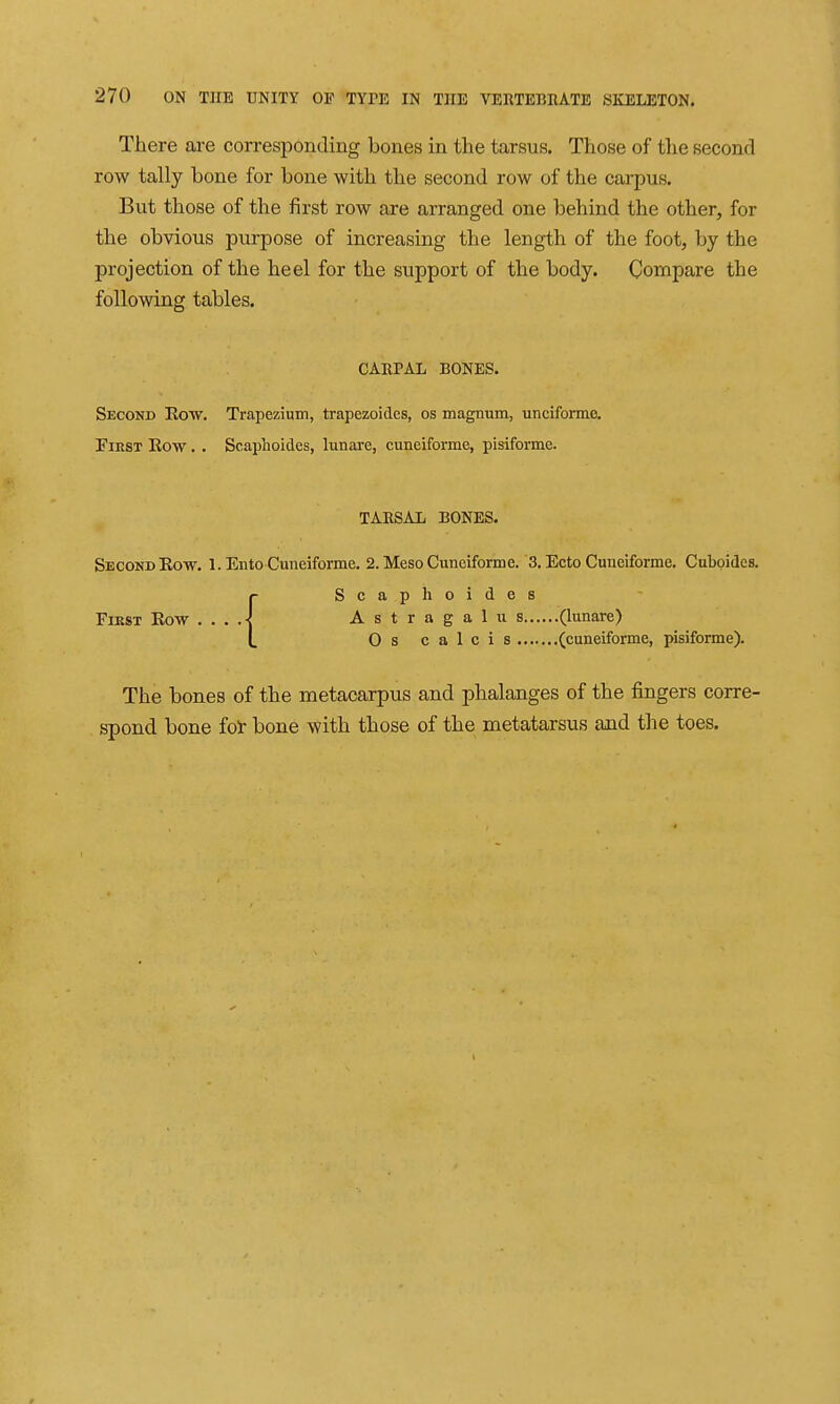 There are corresponding bones in the tarsus. Those of the second row tally bone for bone with the second row of the carpus. But those of the first row are arranged one behind the other, for the obvious purpose of increasing the length of the foot, by the projection of the heel for the support of the body. Compare the following tables. CARPAL BONES. Second Eow. Trapeziuin, trapezoidcs, os magnum, unciforme. FiBST Row. . Scaphoides, lunare, cuneiforme, pisiforme. TARSAL BONES. Second Eow, 1. Ento Cuneiforme, 2. Meso Cuneiforme. 3. Ecto Cuneiforme. Cubpides, r Scaphoides FiKST Eow ....■{ Astragal u s (lunare) t Oscalcis (cuneiforme, pisiforme). The bones of the metacarpus and phalanges of the fingers corre- spond bone fot bone with those of the metatarsus and the toes.