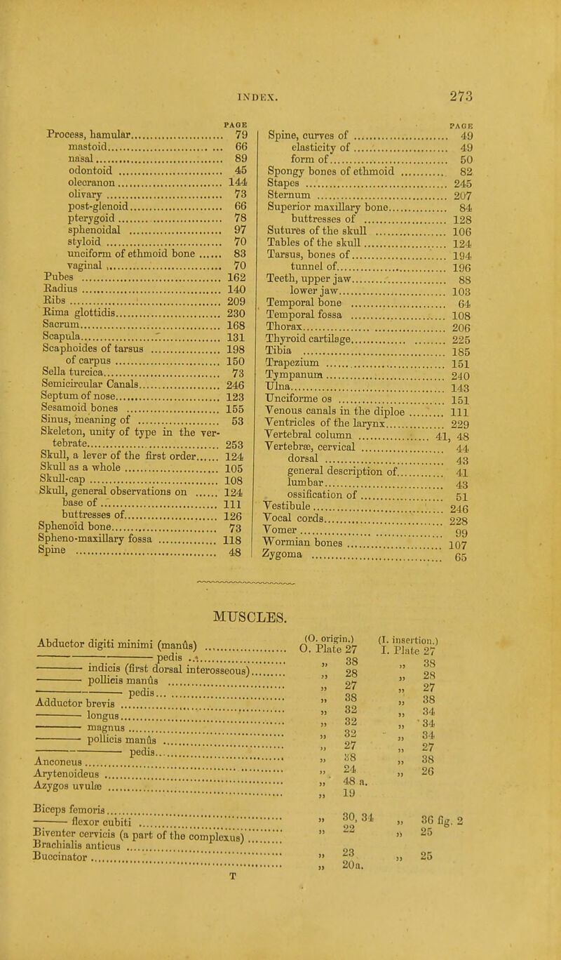 PAGE Process, bamular 79 mastoid 66 nasal 89 odontoid 45 olecranon 144 olivary 73 post-glenoid 66 pterygoid 78 sphenoidal 97 styloid 70 unciform of ethmoid bone 83 vaginal 70 Pubes 162 Eadius 140 Eibs 209 Eima glottidis 230 Sacrum 168 Scapula 131 Scaphoides of tarsus 198 of carpus 150 Sella turcica 73 Semicircular Canals 246 Septum of nose 123 Sesamoid bones 155 Sinus, meaning of 53 Skeleton, unity of type in the ver- tebrate 253 Skull, a lever of the first order 124 Skull as a whole 105 Skull-cap 108 Skull, general observations on 124 base of Ill buttresses of 126 Sphenoid bone 73 Spheno-maxillary fossa 118 Spine 48 PAGE Spine, curves of 49 elasticity of 49 form of 50 Spongy bones of ethmoid 82 Stapes 245 Sternum 207 Superior maxillary bone 84 buttresses of 128 Sutures of the skull 106 Tables of the skull 124 Tarsus, bones of 194, tunnel of igG Teeth, upper jaw 88 lower jaw 103 Temporal bone 64 Temporal fossa 108 Thorax 206 Thyroid cartilage 225 Tibia 185 Trapezium I5i Tympanum 240 Ulna [ 143 TJnciforme os 151 Venous canals in the diploe Ill Yentricles of the larynx 229 Vertebral column 41, 48 Vertebrffi, cervical 44 dorsal 43 general description of. 41 lumbar 43 ossification of 51 Vestibule ; _ £46 Vocal cords 228 Vomer ' gg Wormian bones io7 Zygoma 65 MTJSCLES, pedis ..•> indicis (first dorsal interosseous). • poUieis manlls pedis Adductor brevis , ' [ longus magnus  poUicis manfts pedis Anconeus Arytenoideus Azygos uvulaj ' Biceps femoris flexor cubiti Biventer cervicis (a part of the'comploxusV'' Jorachinlis anticus _ _ Buccinator (0. origin.) (I. iiisei tion.) 0. Plate 27 I. Plate 27 JJ 38 38 )J 28 28 S) 27 » 27 » 38 33 38 3} 32 »3 34 )) 32 33 •34 93 32 33 34 i) 27 3) 27 as 33 38 it 24 33 26 it 48 n. )> 19 )> 30, 34 33 361 )) 22 3i 25 31 23 33 25 » 20a.