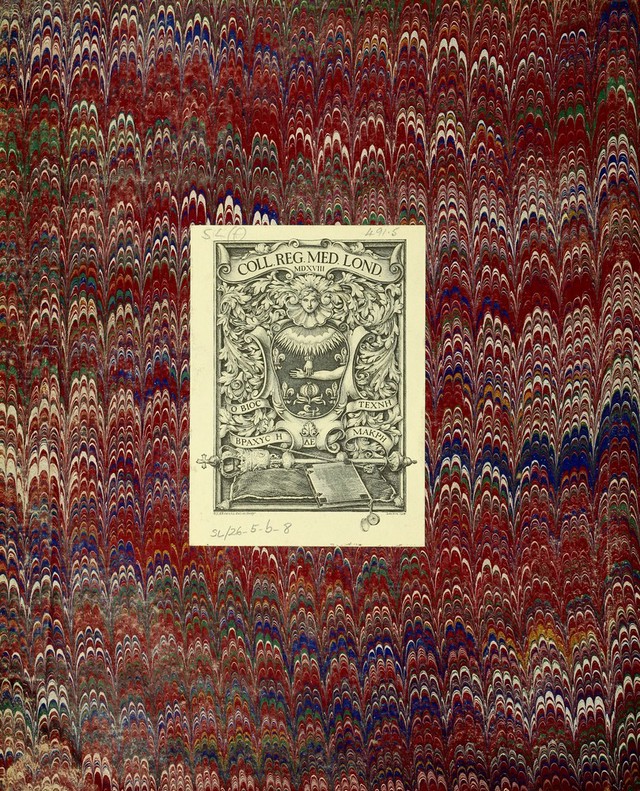 No text description is available for this image