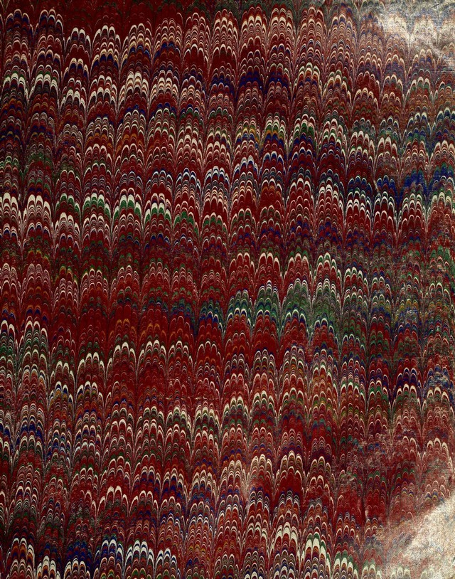 No text description is available for this image