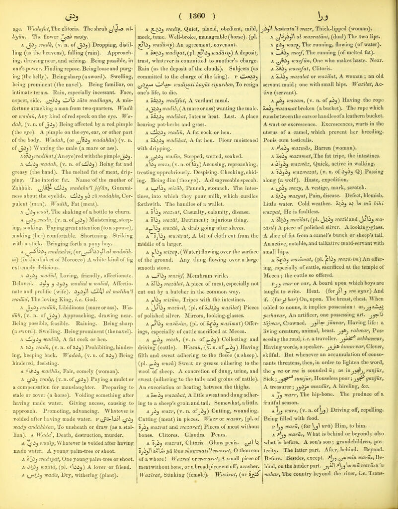 w age. WadafatjThe clitoris. The shrub ^^lJ«o s(7- liyan. The flower ^jo^ nasiy. A ^Jiij wadk, (v. n. of ,Ji>j) Droppuig, distil- ling (as the heavens), falling (rain). Approach- ing, drawing near, and seizing. Being possible, in one's power. Finding repose. Being loose and purg- ing (the belly). Being sharp (a sword). Swelling, being prominent (the navel). Being familiar, on intimate terms. Rain, especially incessant. Face, aspect, side, cjji'ij O^ii zatu wadhayn, A mis- fortune attacking a man from two quarters. Wadk or wadak, Any kind of red speck on the eye. JVa- dah, (v. n. of j'lij) Being affected by a red pimple (the eye). A pimple on the eye, ear, or other part of the body. Wadak, (or (j^'^ij wadakaii) (v. n. of i^iij) Wanting the male (a mare or ass). A'i}i^^wadikat,(^A.n eye)red with the pimple^Jtij. A ufJiij wadak, (v. n. of ui)iij) Being fat and greasy (the hand). The melted fat of meat, drip- ping. The interior fat. Name of the mother of Zahhak. wadaku'l jifan, Gummi- ness about the eyelids. udJjijji zu wadahin,Cov- pulent (man). Wadik, Fat (meat). A Jiij wadl, The shaking of a bottle to churn. A ^^tij rvadn, (v. n. of jjiij) Moistening, steep- ing, soaking. Paying great attention (to a spouse), making (her) comfortable. Shortening. Striking with a stick. Bringing forth a puny boy. A ^^^^lij wadndkgi, (0Y^^jJ^\i6^\ alwadnak- si) (in the dialect of Morocco) A white kind of fig extremely delicious. A tijiij Kadud, Loving, friendly, affectionate. Beloved, liyllj j '^j'^j Kudud u n-alud, Affectio- nate and prolific (wife), lijiij^^ ciAi^^ al maliku'l wadud, The loving King, i.e. God. A jjjiij waduk, Libidinous (mare or ass). Wu- duk, (v. n. of ijiij) Approaching, drawing near. Being possible, feasible. Raining. Being sharp (a sword). Swelling. Being prominent (the navel). A s-^jiij maduk, A fat cock or hen. A wadh, (v. n. of iiij) Prohibiting, hinder- ing, keeping back. Wadak, (v.n. of 2iij) Being hindered, desisting. A rcadkas, Fair, comely (woman), A t^i>5 ready, (v.n. of (_^i5j) Paying a mulct or a compensation for manslaughter. Preparing to stale or cover (a iiorse). Voiding something after having made water. Giving access, causing to approach. Promoting, advancing. Whatever is voided after having made water, p mady andakktan, To unsheath or draw (as a stal- lion). A Wada, Death, destruction, murder. A tj^^ wafZl?/, Whatever is voided after having made water. A young palm-tree or shoot. A Wiij wadvyat. One young palm-tree or shoot. A liiiij madid, (pi. -^^liiij) A lover or friend. A roadis, Dry, withering (plant). ( 1360 ) A ^.lij wadi^ Quiet, placid, obedient, mild, meek, tame. Well-broke, manageable (horse), (pi. ^liij waddsi^ An agreement, covenant. A iwOOj Tvadl^t, (pi. ^^iij ivaddsi^ A deposit, trust, whatever is committed to another's charge. Rain (as the deposit of the clouds). Subjects (as committed to the charge of the king), p ^^iyjv«» OUs- wadi^ti haydt sipurdan. To resign one's life, to die. A wad'ifat, A verdant mead. A^J^.iij ?yafZiA', ( A mare or ass) wanting the male. A &a^.iij wafZlAaf, Intense heat. Lust. A place bearing pot-herbs and grass. A idXid^ wadik, A fat cock or hen. A wadikat, A fat hen. Flour moistened with dripping. A ,.j>A^ ivadin, Steeped, wetted, soaked. Aliij mazs, (v. n. of lj)j) Accusing, reproaching, treating opprobriously. Despising. Checking,chid- ing. Being dim (the eye). A disagreeable speech. A (—'^lij ivizdb, Paunch, stomach. The intes- tines, into which they pour milk, which curdles forthwith. The handles of a wallet. A slij wazfttt, Casualty, calamity, disease. A S^ij wazat. Detriment; injurious thing. A^^ij wazdh, A drab going after slaves. A jj^ij wuzarat, A bit of cloth cut from the middle of a larger. A wizd^ (Water) flowing over the surface of the ground. Any thing flowing over a large smooth stone. A wuzdf, Membrum virile. A wazdlat, A piece of meat, especially not cut out by a butcher in the common way. A wizdm. Tripes with the intestines. A (J-^^ij ivazdsil, (pi. of'i-l^ij wazilat) Pieces of polished silver. Mirrors, looking-glasses. A jo^^ij wazddm, (pi. of wazimat') Offer- ings, especially of cattle sacrificed at Mecca. wazk, (v. n. of^iij) Collecting and driving(cattle). Wazak, (v. n. of ^'^j) Having filth and sweat adhering to the fleece (a sheep), (pi. wuzk) Sweat or grease adhering to the wool of sheep. A concretion of dung, urine, and sweat (adhering to the tails and groins of cattle). An excoriation or heating between the thighs. A Ss-ij wazakat, A little sweat and dung adher- ing to a sheep's groin and tail. Somewhat, a little. Ajij wazr, (v. n. ofjij) Cutting, wounding. Cutting (meat) in pieces. Wazr or wazar, (pi. of Sjij wazrat and wazarat) Pieces of meat without bones. Clitores. Glandes. Penes. A wazrat, Clitoris. Glans penis. b «J?Li> yd ihna shdmmati'l wazrat, O thou son of a whore ! Wazrat or wazarat, A small piece of meat without bone, or abroadpiececutoflp; arasher. Wazirat, Stinking (female). Wazirat, (or kasiratu''l wazr. Thick-lipped (woman). A i^^y^^^ 0.1 roazratdni, (dual) The two lips. A waz^ The running, flowing (of water). A u-iij rvazf, The running (of melted fat). A ^Ji'^J wazfdn, One who makes haste. Near. A '^'ij wazafat, Clitoris. A iiJiij wazalat or wazilat, A woman ; an old servant maid; one with small hips. Wazilat, Kc- tive (servant). A pij wazam, (v. n. of j»ij) Having the rope iUiij wazamat broken (a bucket). The rope which runs between the ears or handles of a leathern bucket. A wart or excrescence. Excrescences, warts in the uterus of a camel, which prevent her breeding. Penis cum testiculis. A f\i«h^ wazmdf. Barren (woman). A wazamat, The fat tripe, the intestines. A <iijij wazwdz. Quick, active in walking. A aiji^ wazmazat, (v. n. of ijiij Q) Passing along (a wolf). Haste, expedition. A ^J'^^ wazy, A vestige, mark, scratch. A iowa^^ail, Pain, disease. Defect, blemish. Little water. Cold weather. 'i>pj lO U ma biki wazyat. He is faultless. A &b.iij wazilat, (pi. J»?.'i) wazilmA (J-.>^<ij wa- zddl) A piece of polished silver. A looking-glass. A slice of fat from a camel's bunch or sheep's tail. An active, notable, and talkative maid-servant with small hips. A &<r(ij wazimat, (pi. ^^ij wazdnm) An offer- ing, especially of cattle, sacrificed at the temple of Mecca ; the cattle so oflTered. Pjj rvar or var, A board upon which boys are taught to write. Heat, (for^^ j wa agar) And if. (for^J Jar) On, upon. The breast, chest. When added to nouns, it implies possession: as,jjekZ^. peskavar. An artificer, one possessing art. jyf ^ tdjwar. Crowned, V jdnvar, Having life : a living creature, animal, beast, rakwar, Pos- sessing the road, i. e. a traveller, jy*^ sukkanvar, Having words, a speaker. jjj'i> hunarvar. Clever, skilful. But whenever an accumulation of conso- nants threatens, then, in order to lighten the word, the J va or wa is sounded u; as in j^sS, Sick ;j^=s**^ surtijur, Houseless ^oor; j^'^ ganjur, A treasurer ;jjiyj/« muzdur, A hireling, &c. A warr. The hip-bone. The produce of a fruitful season. A \jj wavf, (v. n. oi\jj) Driving off, repelling. Being filled with food. p ward, (for urd) Him, to him. A wards, What is behind or beyond; also what is before. A son's son ; grandchildren, pos- terity. The latter part. After, behind. Beyond. Before. Besides, except. min wards. Be- hind, on the hinder part. Aj^ I* md wardtu 'n nahar, The country beyond the river, i.e. Trans-