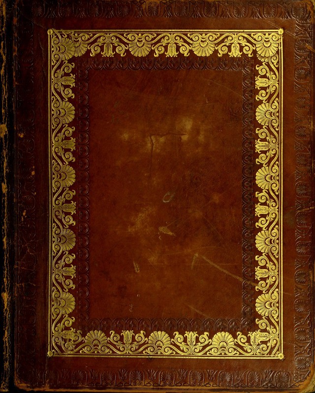 No text description is available for this image