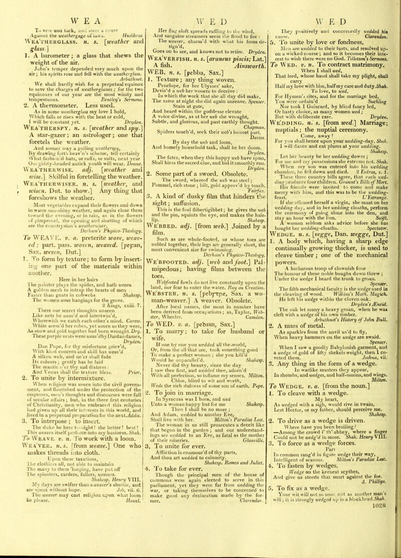 Til vere ana tack, and steer a caii?e Against the weatherga^e of laws. Hudibras Wea'therglass. n. s. [weather and glass.] 1. A barometer; a glass that shews the weight of the air. John's temper depended very niucli upon the air; his spirits rose and fell with the weatherglass, Arbuthnot. ' We shall hardly wish for a perpetual equinox to save the charges of weatherglasses; for the two equinoxes of our year are the most windy and tempestuous. Benttey's Sermons. 2. A thermometer. Less used. As in some weatherglass my love I hold, Which falls or rises with the heat or cold, I will be constant yet. Dryden. Wea'therspy. n. s. \weather and spy.] A star-gazer; an astrologer; one that foretels the weather. And sooner may a gulling weatherspy, By drawing forth heav'n's scheme, tell certainly What fashion'd hats, or ruft's, or suits, next 3'ear Our giddy-lieaded antick youth will wear. Donne. Wea'therwise. adj. [tveather and wise.] Skilful in foretelling the weather. Wea'therwiser. n. s. [iveather, and wisen. Dut. to show.] Any thing that foi'eshows the weather. Most vegetables expand their flowers and down in warm sun-shiny weather, and again close them toward the evening, or in rain, as in the flowers of pimpernel, the opening and shutting of which are the countryman's weatherwiser, Derham's Pkysico-Theology. To WEA1M,. V. a. preterite wove, weav- ed; part. pass, woven, weaved. [pepan, Sax. weven, Dut.] 1. To form by texture; to form by insert- ing one part of the materials within another. Here in her hairs The painter plays the spider, and hath woven A golden mesh to intrap the hearts of men Faater thari gnats in cobwebs Shakesp. The women tuoue hangings for the grove. 2 Kings, xxiii. 7. There our secret thoughts unseen Like nets he uieav'd and intertwin'd, Wlierewitli we catch each other's mind. Carew. White seem'd her robes, yet woven so they were, As snow and gold together had been wrought. Drj/. These purple vests were wean't/by Dardan dames, Dryden. Dan Pope, for thy misfortune griev'd, With kind concern and skill has weav'd A silken web, and ne'er sliall fade Its colours ; gently has he laid The mantle o cr thy sad distress : And Venus shall the texture bless. Prior, 2. To unite by intermixture. When r< ligion was wnven into the civil govern- ment, and flourished under the protection of the emperors, mrn's thoughts and discourses were full of secular aftairs ; but, in the three first centuries of Christianity, men who embraced this religion had given up all their intf-rests in tliis world, and lived in a perpetual preparation for the nexl.Addis. 3. To interpose ; to insert. The duke be here ti -r.ight! the better I best! This weaves itself perforce into my business. Shak. To Weave, v. n. To work with a loom. Wea'ver. n.s. weave.] One who makes threads into cloth. Upon these taxations, 'J'he clothiers all, not able to maintain The many to them 'longing, have put off 'I'he spinsters, carders, fullers, weavers. Shakesp. Hen^y VIII. My days are swifter than a weaver's shuttle, and are spent without hope. Job, vii. 6. The weaver may cast religion u.pon what loom i he please. HoweU ' Her flag aloft spreads ruffling to the wind. And sanguine streajuers seem the flood to fire : The weaver, charm'd with wliat his loom ae- sign'd. Goes on to see, and knows not to retire. Dryden. Wea'verfish. n. s. [araneus piscis; Lat.] A fish. Ainsworth. WEB. n. s. [pebba, Sax.] J. Texture ; any thing woven. Penelope, for her Ulysses' sake, Devis'd a web her wooers to deceive : In which the work that she all day did make. The same at night she did again unreave. Spenser. Staio at gate, And heard within the goddesse elevate A voice divine, as at her web she wrought, Subtle, and glorious, and past earthly thought. Chapman. Spiders touch'd, seek their web's imnost part. Davies. By day the web and loom, And homely household task, shall be her doom. Dryden. The fates, when they this happy web have spun. Shall bless the sacred clue, and bi<i it smoothly run. Dryden. 2. Some part of a sword. Obsolete. The sword, whereof the web was steel ; Pommel, rich stone ; hilt, gold approv'd by touch. Fairfax. 3. A kind of dusky film that hinders tlie sight; suffusion. This is the foul flibertigibbet; he gives the web and the pin, squints the eye, and makes the hair- lip- Shakesp. We'bbed. adj. [from web.] Joined by a film. Such as are whole-footed, or whose toes are webbed together, their legs are generally short, the most convenient size for swimming. Derham's Physico-Theolngy. We'bfooted. adj. [web and foot.] Pal- mipedous; having films between the toes. Webfooted fowls do not live constantly upon the land, nor fear to enter the water. Pay on Creation, We'bster. n. s. [pebj-cfve. Sax. a wo- man-weaver.] A weaver. Obsolete. After local names, the most in number have been derived from occupations ; as, Taylor, Web- ster, Wheeler. Camden. To WED. V. a. [pebian, Sax.] 1. To marry; to take for husband or wife. If one by one you wedded all the-world. Or, from the all that are, took something good To make a perfect woman ; she you kill d Would be unparallei'd. Shakesp. Never did thy beauty, since the day I saw thee first, aud vjedded thee, adorn'd With all perfection, so inflame my senses. Milton. Chloe, blind to wit and worth. Weds the rich dulness of some son of earth. Pope. 2. To join in marriage. In Syracusa was I born, and wed Unto a woman happy but for me Shakesp. Then 1 shall be no moje ; And Adam, wedded to another Eve, Shall live with her. Milton's Paradise Lost, The woman in us still prosecutes a deceit like that begun in the garden ; and our understand- ings are wedded to an Eve, as fatal as the mother of their miseries. Glaniiille. 3. To unite for ever. Affliction is enamour'd of thy parts, And thou art wedded to calamity. Shakesp. Romeo and Juliet. 4. To take for ever. Though the principal men of the house of commons were again elected to serve in thi's parliament, yet they were far from wedding the war, or taking themselves to be concerned to make good any declaration made by the for- mer, Clarendun, They positively and concernedly wedded his cause. Clarendon. 5. To unite by love or fondness. Rlen are wedded to their lusts, and resolved up- on a wicked course; and so it becomes their inte- rest to wish there were no God. Tillotsoiis Sermons, To Wed. v, n. To contract matrimony. When I shall wed. That lord, whose hand shall take my plight, shall carry Half my love with him, half my care aud duty.Shak. To love, to wed. For Hymen's rites, and for the marriage bed, You were ordain'd Suckling Nor took I Guiscard, by blind fancy led. Or hasty choice, as many women wed; But with deliberate care. Dryden. We'dding. n. s. [from wed.] Marriage; nuptials; the nuptial ceremony. Come, away ! For you shall hence upon your wedding-day. Shak. I will dance and eat plums at your wedding, Shakesp. Let her beauty be her wedding dower; For nie and niy possessions she esteems not. Shak. When my son was entered into his wedding chamber, he fell down and died. 2 Esdras, x. 1. These three country bills agree, that each wed- ding produces four children. Graunt's EilbofMort. His friends were invited to come and make merry witli him, and this was to be the wedding- feast. L'Estrange. If she affirmed herself a virgin, she must on her wedding day, and in her wedding cloaths, perform the ceremony of going alone into the den, and stay an hour with the Tion. Swift. A woman seldom asks advice before she has bought her wcddin^-cloaths. Spectator. Wedge, n. s. [vegge, Dan. wegge, Dut] 1. A body which, having a sharp edge continually growing thicker, is used to cleave timber; one of the mechanical powers. A barbarous troop of clownish fone The honour of these noble boughs down threw ; Under the wedge I heard the trunk to groan. Spenttr. The fifth mechanical faculty is the wedge used in the cleaving of wood. WiUdns's Math. Magick. He left his wedge within the cloven oak. Dryden's Mneid. The oak let many a heavy groan, when he wa» cleft with a wedge of his own timber. Arbuthnot's History of John Bull. 2. A mass of metal. As sparkles from the anvil us'd to fly, When heavy hammers on the wedge are swaid. Sperwer. When I saw a goodly Babylonish garment, and a wedge of gold of fifty shekels weight, then 1 co- veted them. Joshua, vii. 3. Any thing in the form of a wedge. In warlike musters they appear. In rhombs, and wedges, and half-moons, and wings. Miltmi. To Wedge, v. a. [from the noun.] 1. To cleave with a wedge. My heart. As wedged with a sigh, would rive in twain, Lest Hector, or my father, should perceive me. Shaketp. 2. To drive as a wedge is driven. Where have you been broiling ? —Among the crowd i' th' abbey, where a finger Could not be wedg'd in more. Shak. Henry Vtll. 3. To force as a wedge forces. Part In common rang'd in figure wedge their way. Intelligent of seasons. Milton's Paradise Lott. 4. To fasten by wedges. Wedge on the keenest scythes, And give us steeds that snort against the foe. A. Phillips. 5. To fix as a wedge. Your wit will not so soon out as another man's will; it is strongly wedged up in a blockhead.SJwife,